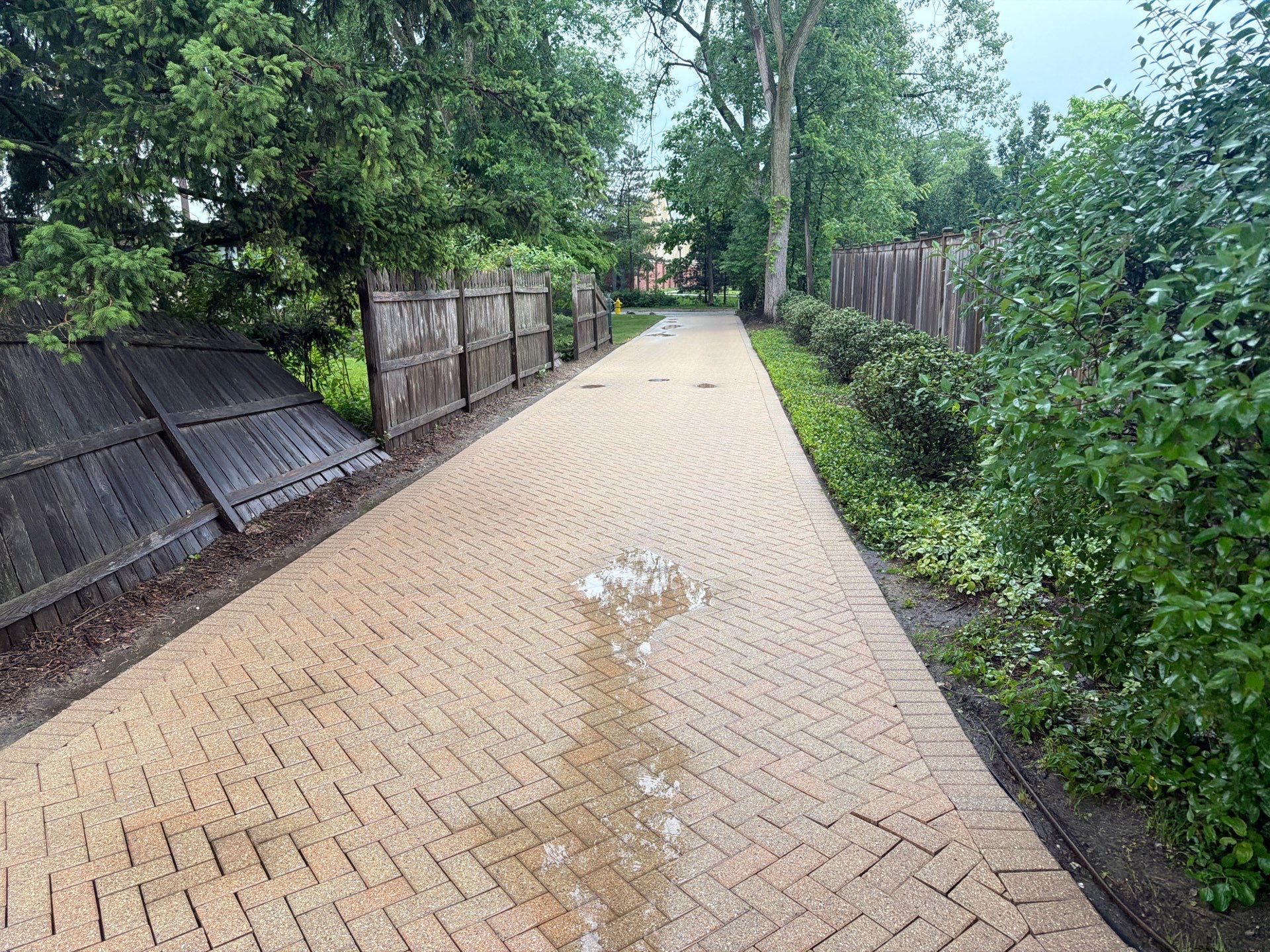 Brick paver repair, cleaning and sealing by Northern Power Washing LLC.