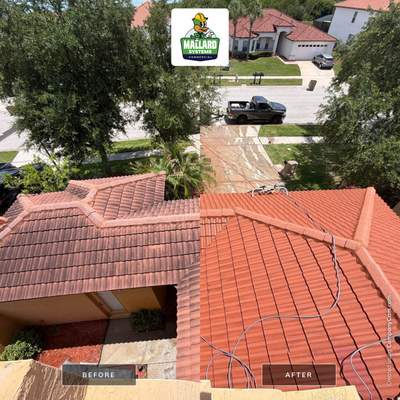 Tile Roof Cleaning in Kissimmee