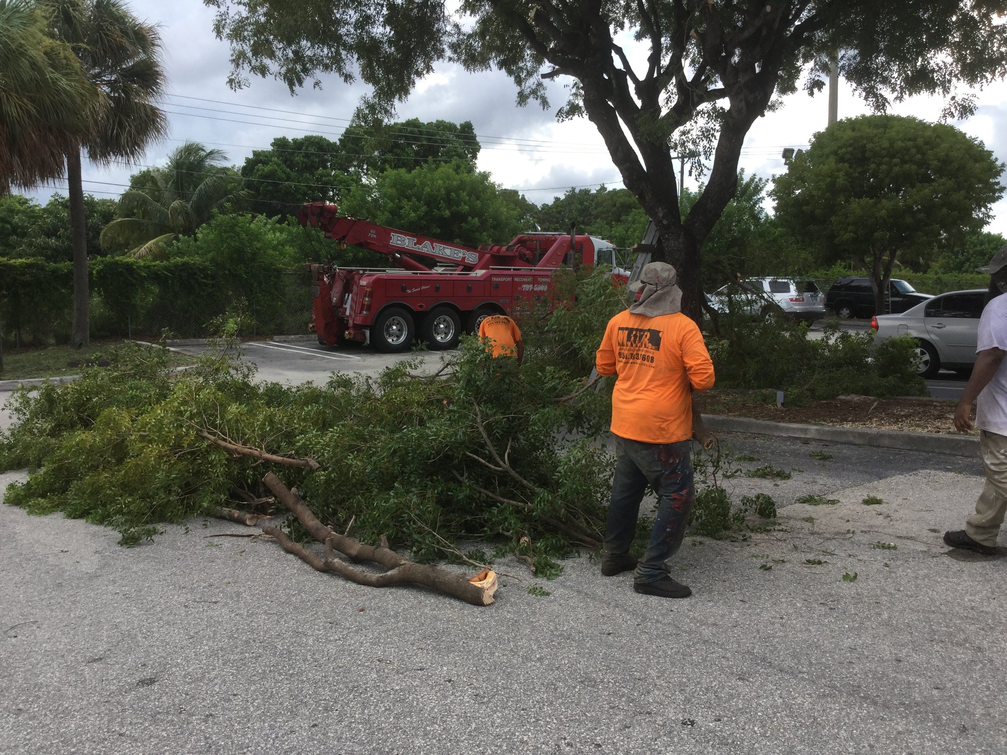 Commercial Tree Trimming & Debris Removal by
M.A.B. Landscaping & Property Maintenance