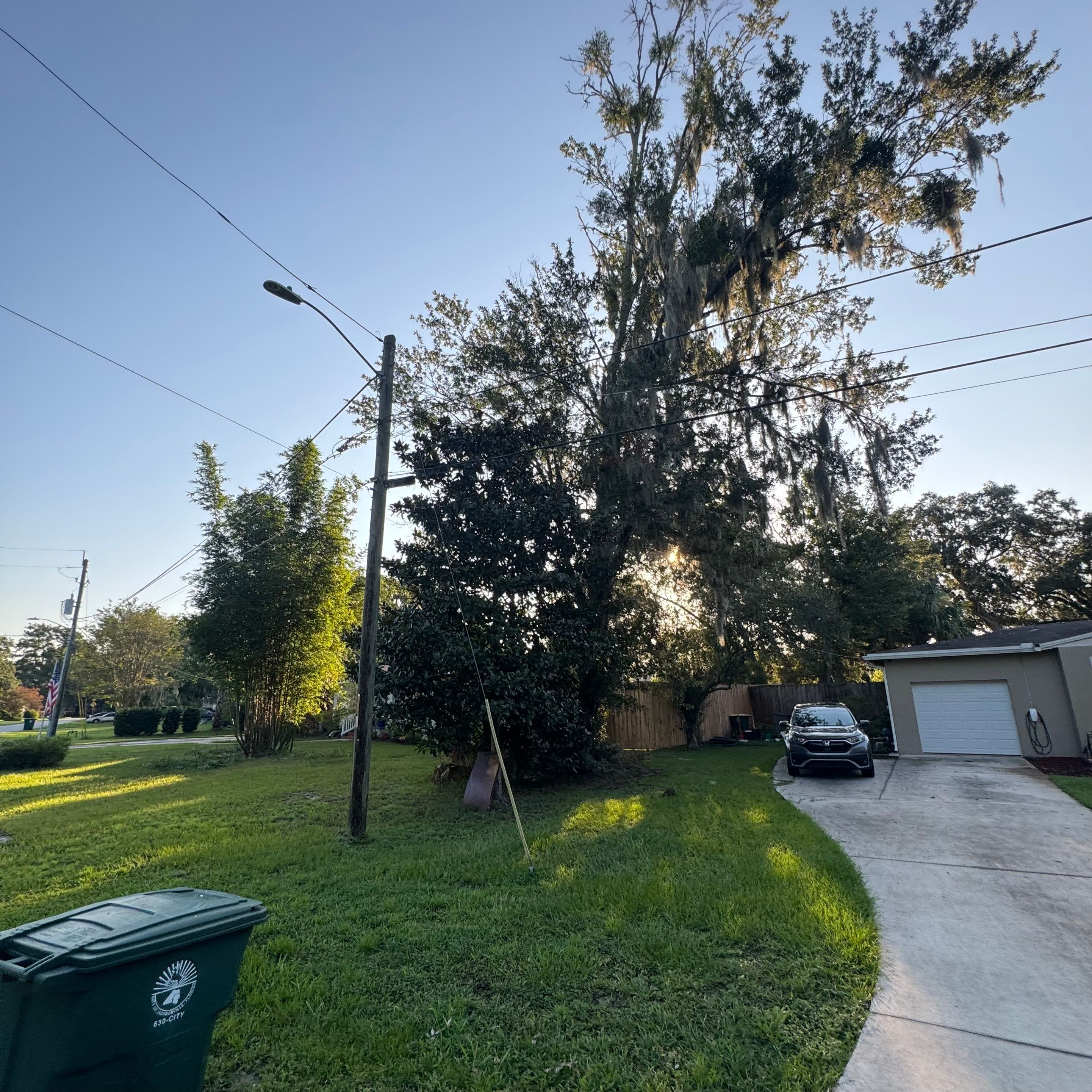 Residential | Tree Trimming  by ProGreen Services