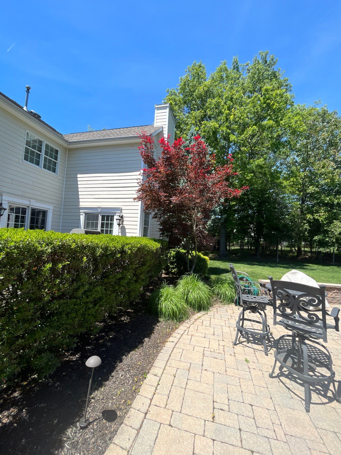 Lawn Care and Shrub Care at a beautiful Bridgewater property by Ants Plants