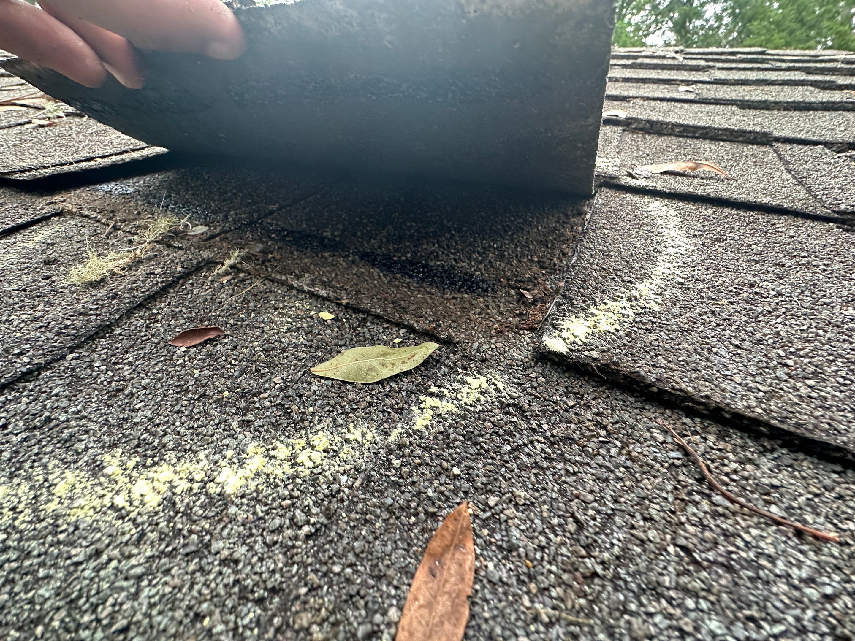Roof Damage Claim in Pinetta by FLAPA & KeyStone