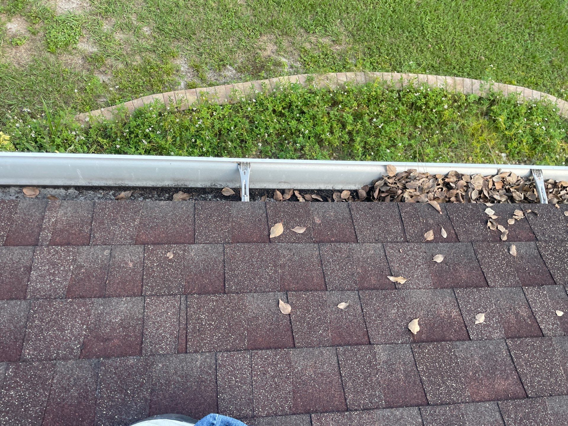 Gutter Cleaning in Brandon FL by Gutter Professors