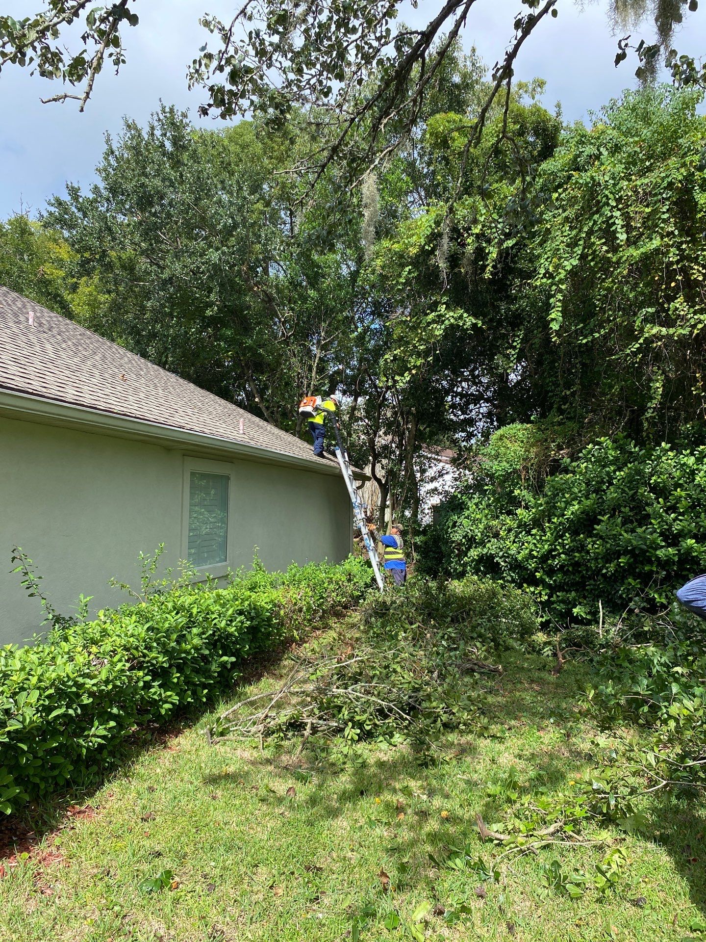 Deerwood Residence | Property Clean Up by ProGreen Services