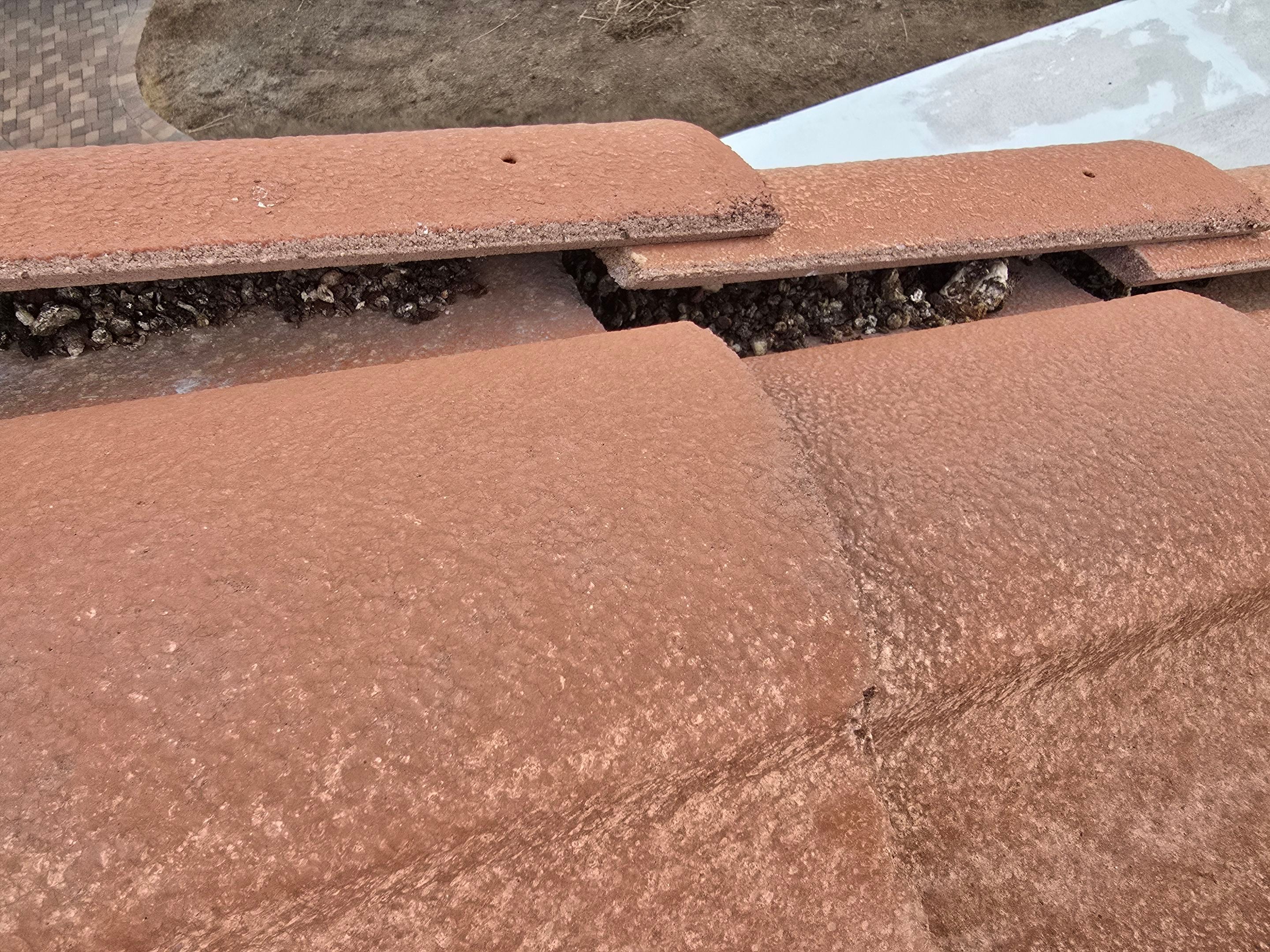 Project in Peoria, AZ by Showtime Roofing & Coatings LLC