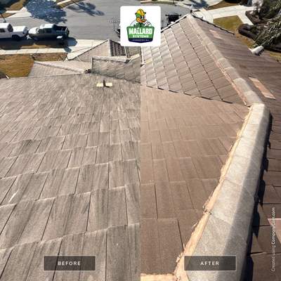 Flat Tile Roof Cleaning