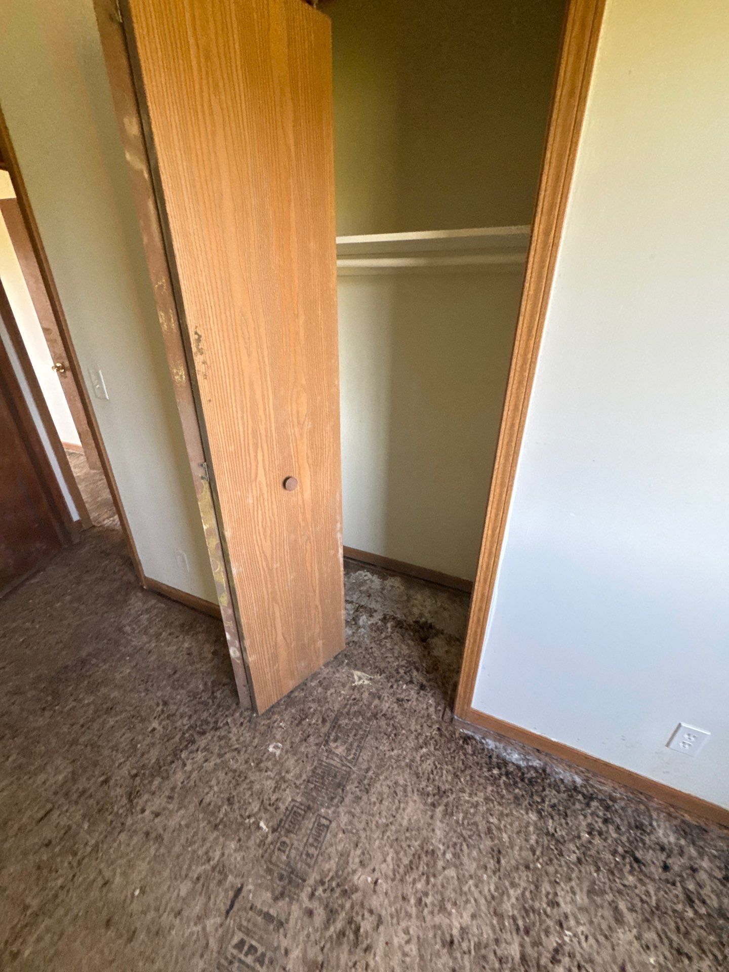 Project in Richmond by EzDry Water Mitigation & Property Restoration