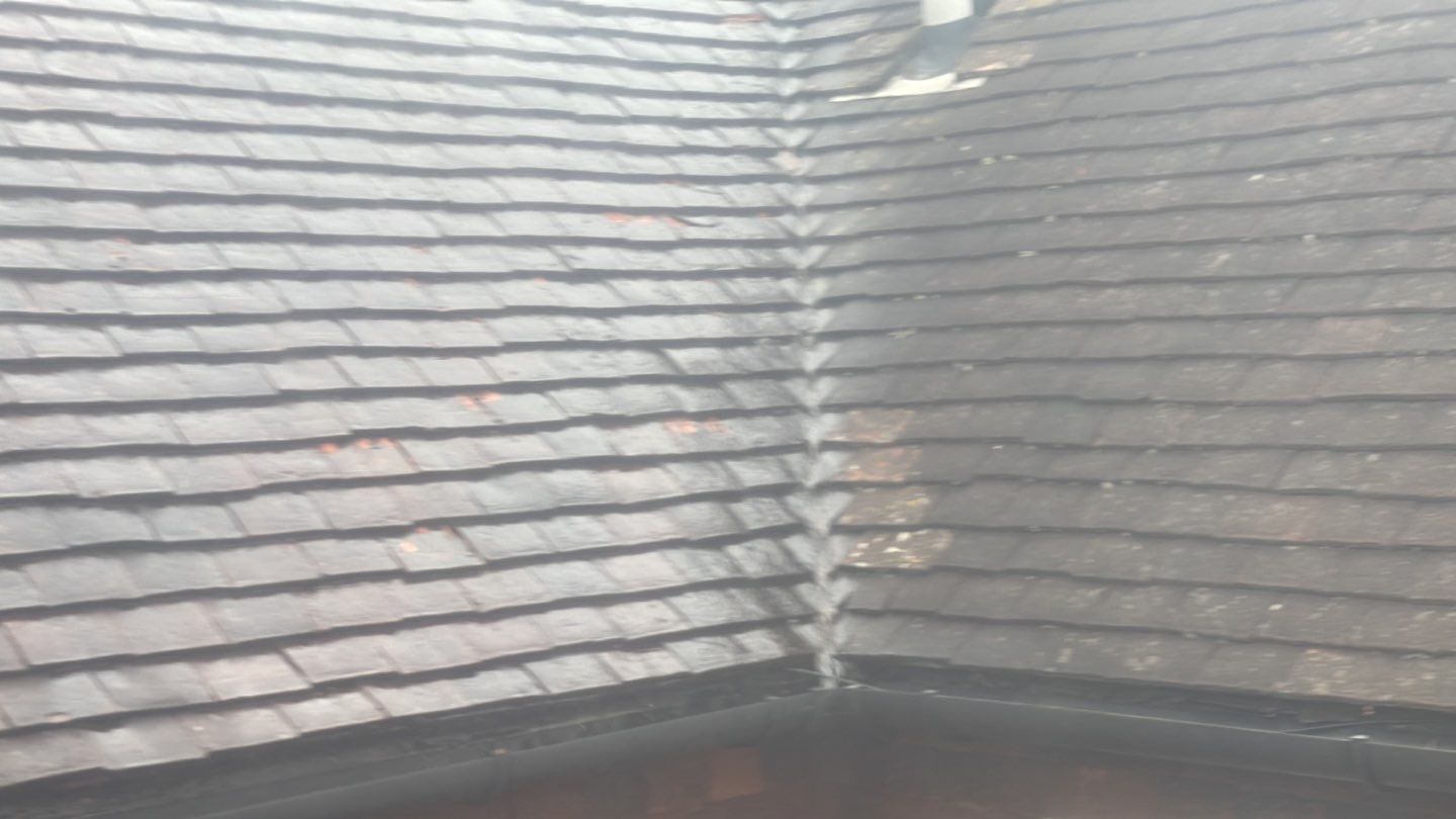 Roof Clean - Biocide Treatment using Honda 15lpm Low Pressure Washing Machine by Ges Exterior Cleaning ltd