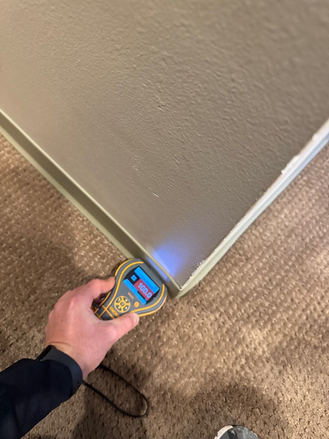 Project in Commerce Township by EzDry Water Mitigation & Property Restoration