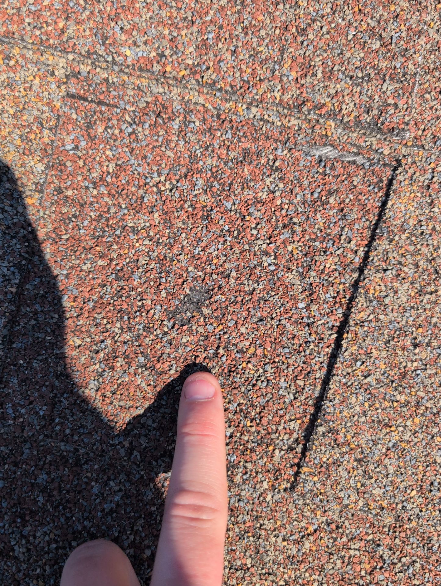 Roof Replacement in Ozark by Table Rock Design + Build