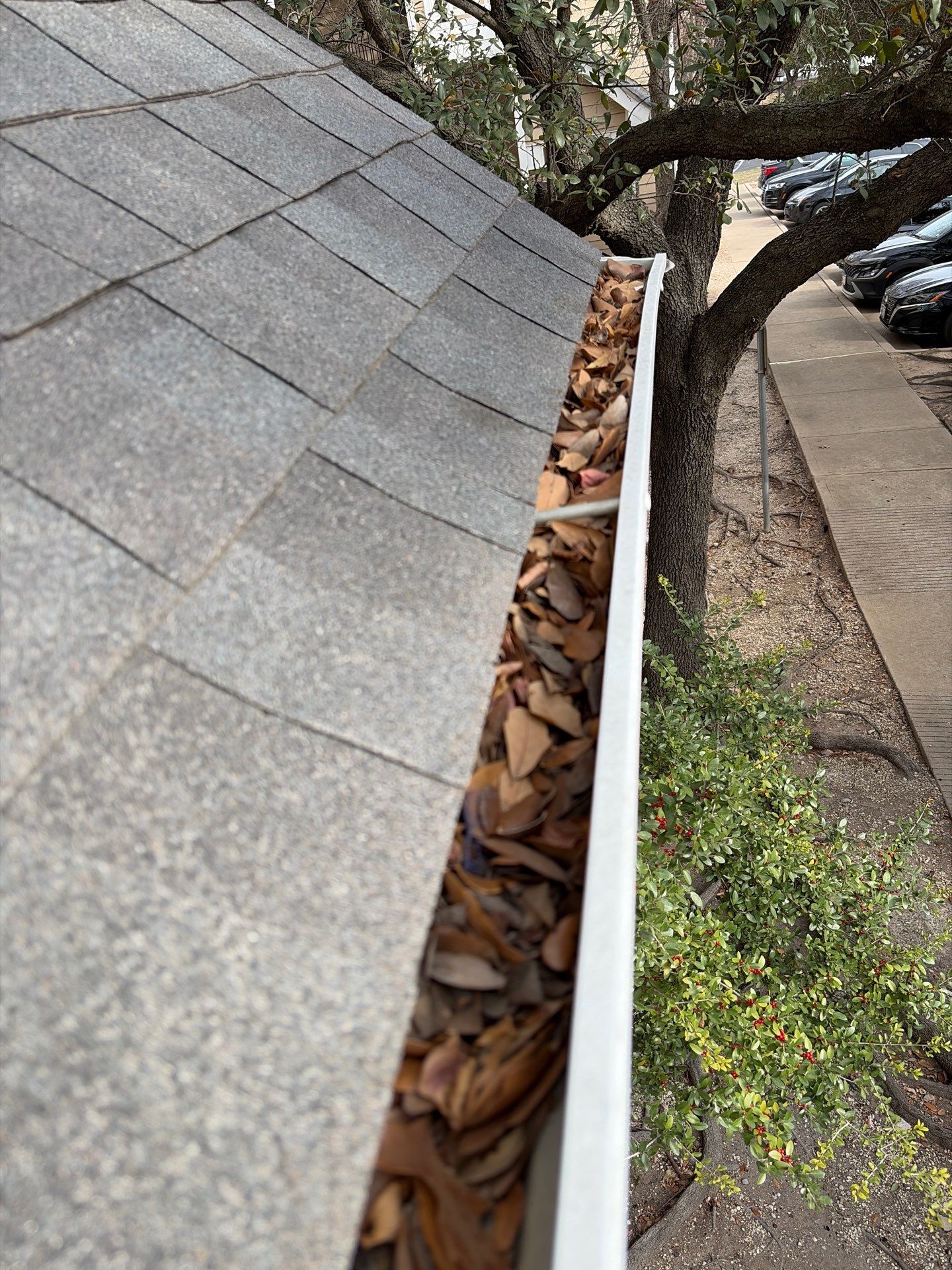 Commercial gutter cleaning Austin before photo with filled gutters