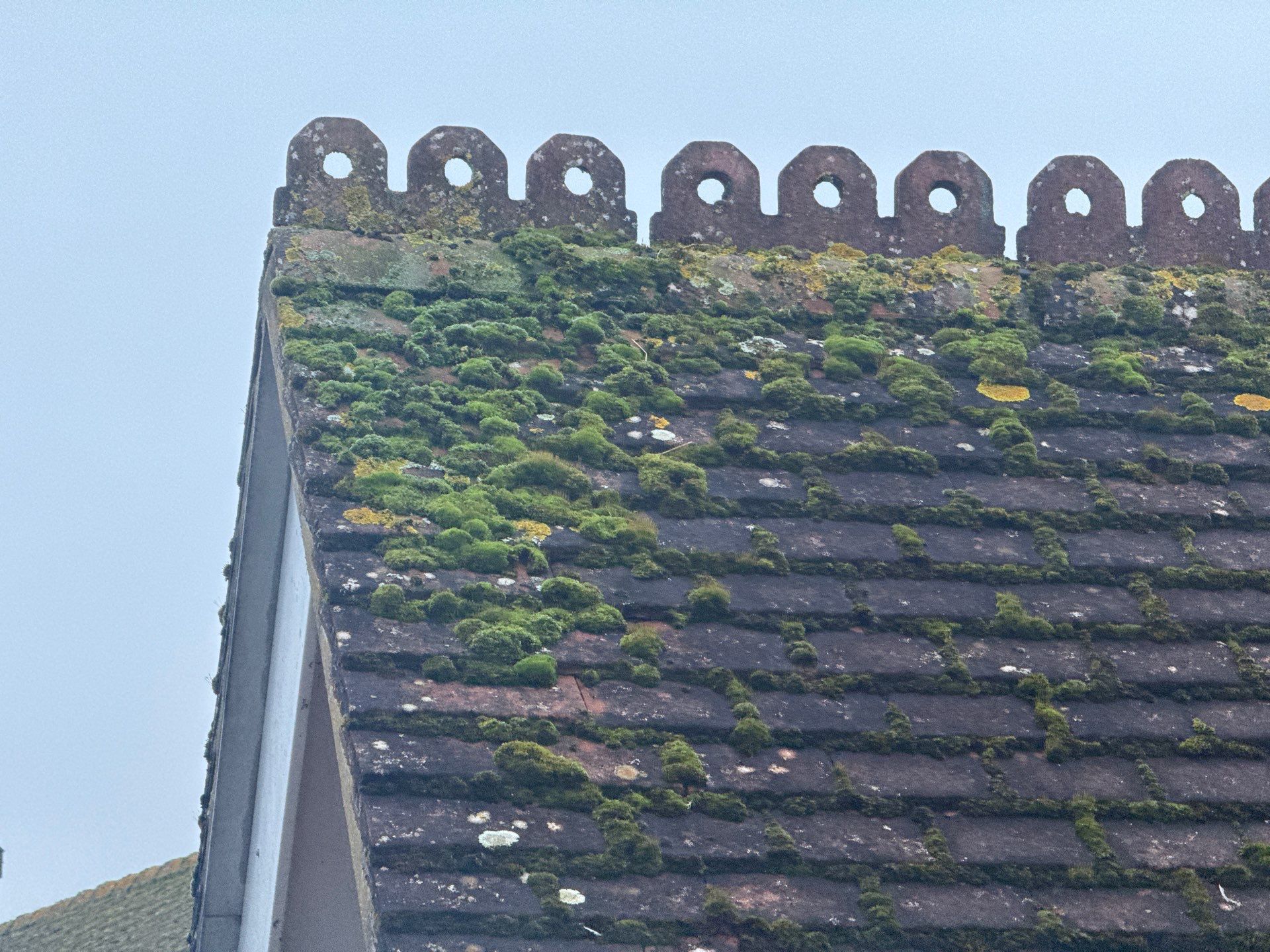 Roof And Render Clean by Ges Exterior Cleaning ltd