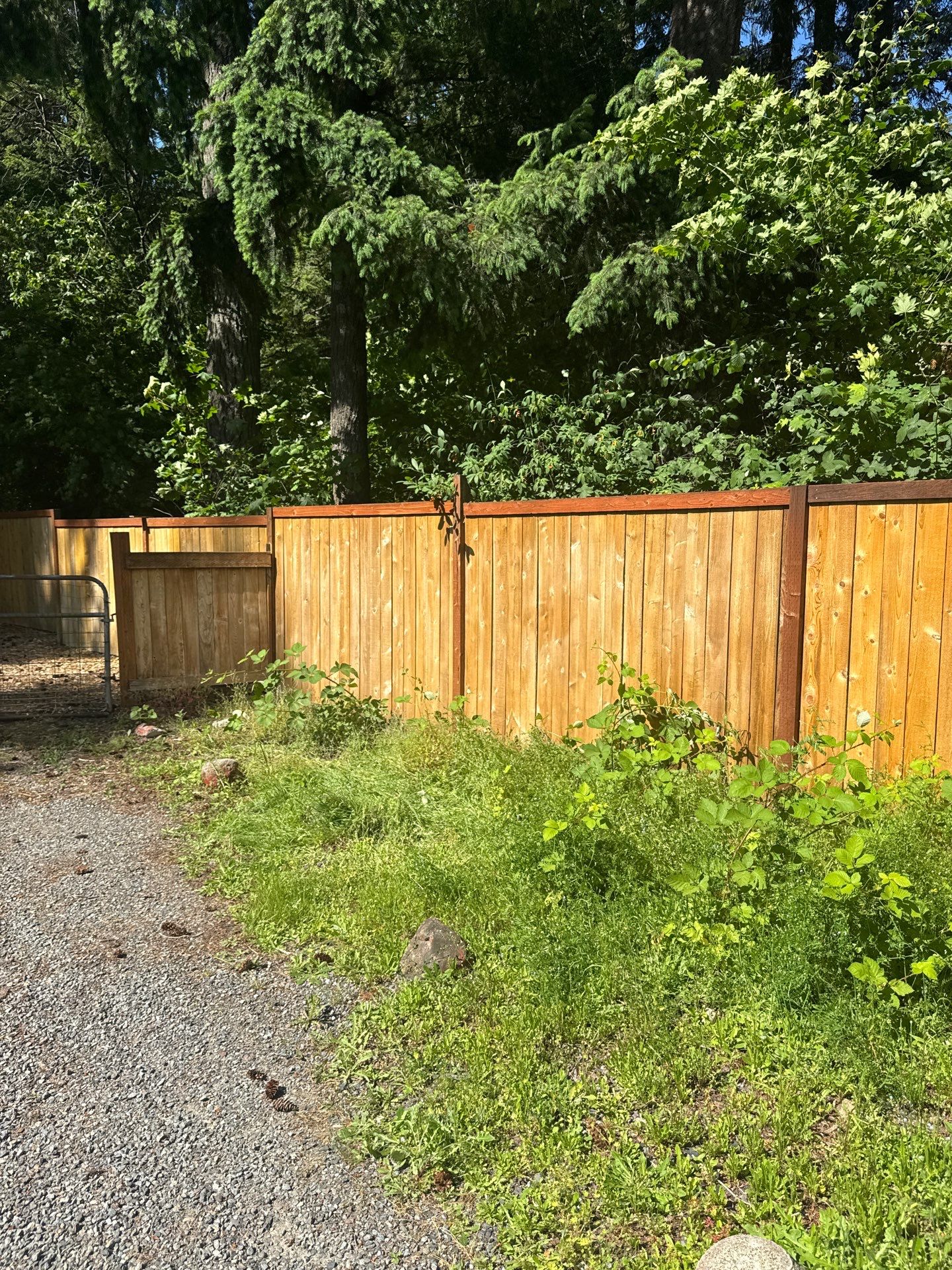 Project in North Bend by Clean Buildings