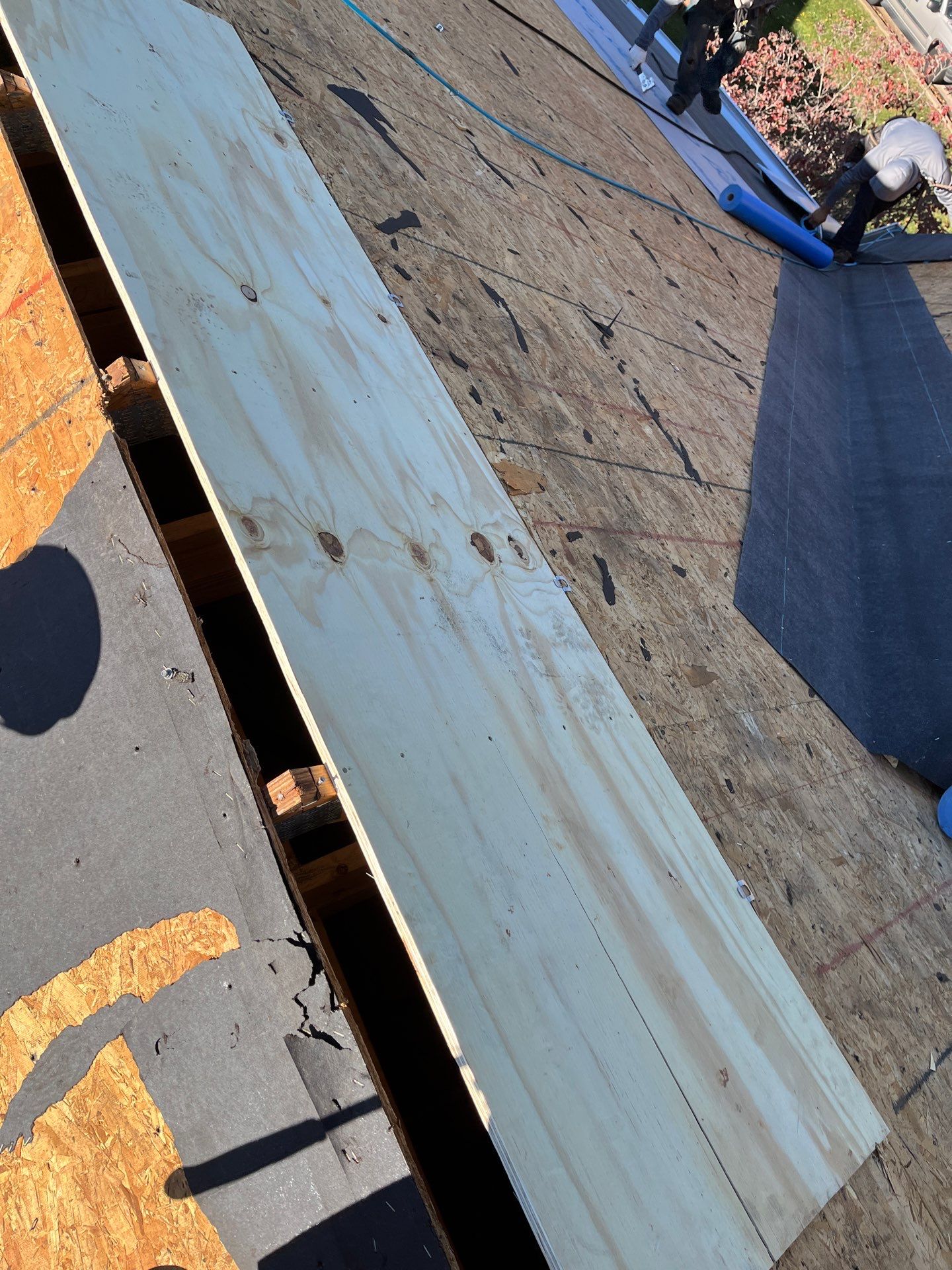 Alexandria: Residential Roof Replacement with CertainTeed Landmark Pro Designer Shingles in Max Def Moire Black by RM Banning, Inc.