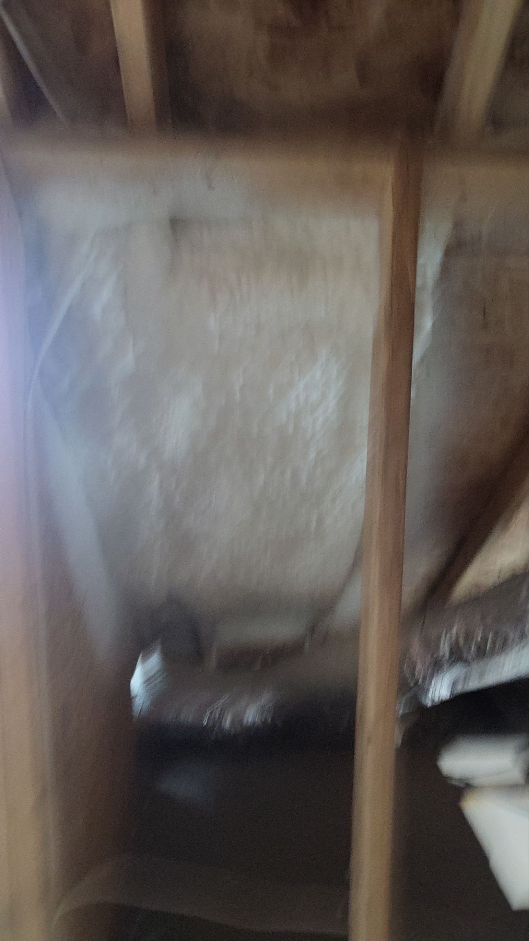 Interior spray foam application by SPF Services 