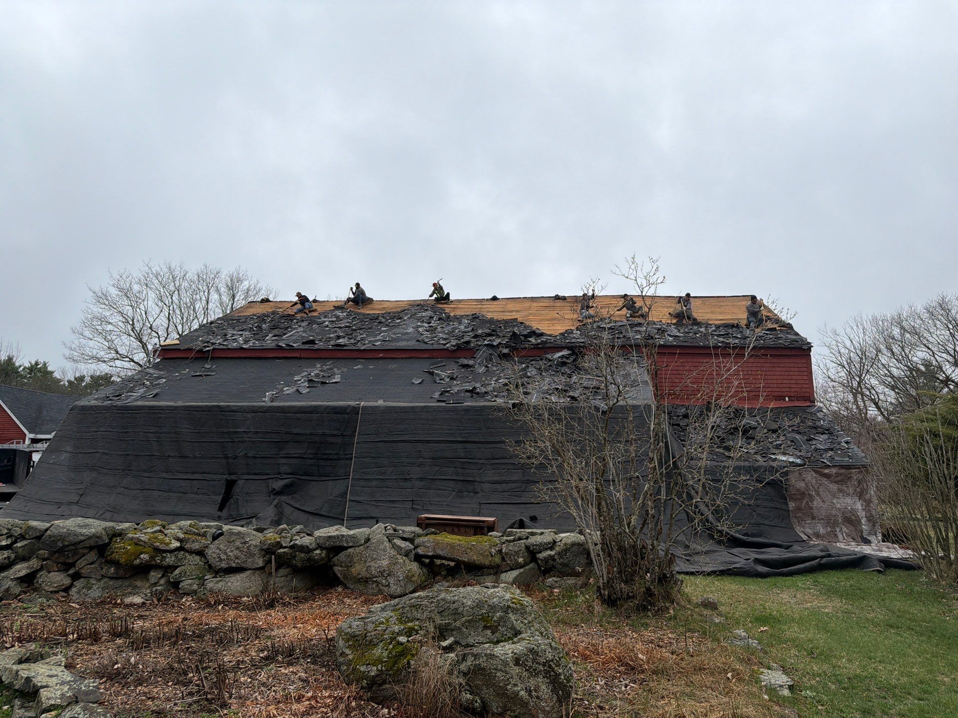 Architectural Shingle Roof Replacement for Red Barn in Falmouth by Tall pine roofing