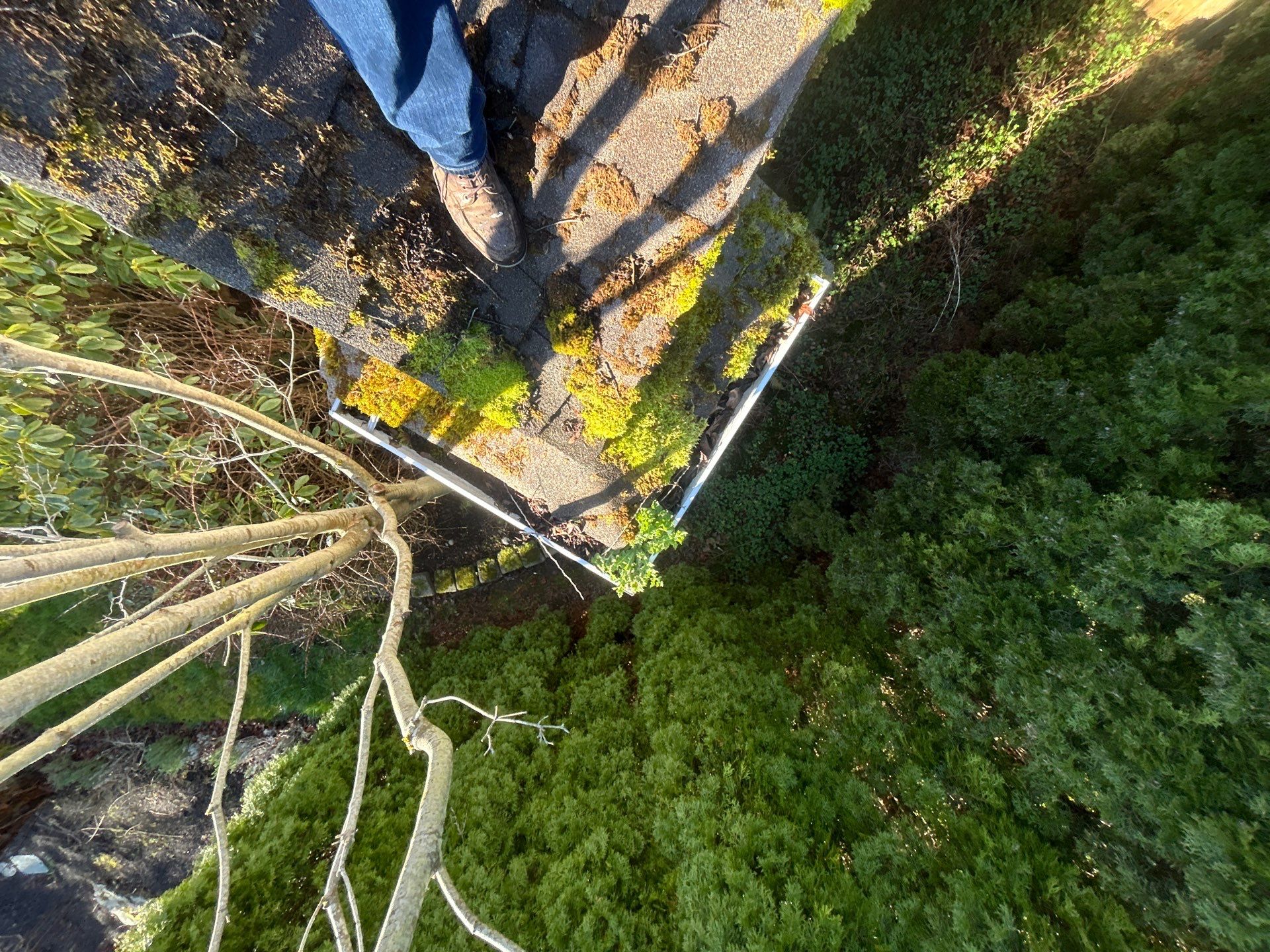 Project in Mount Vernon by Connolly Construction Company