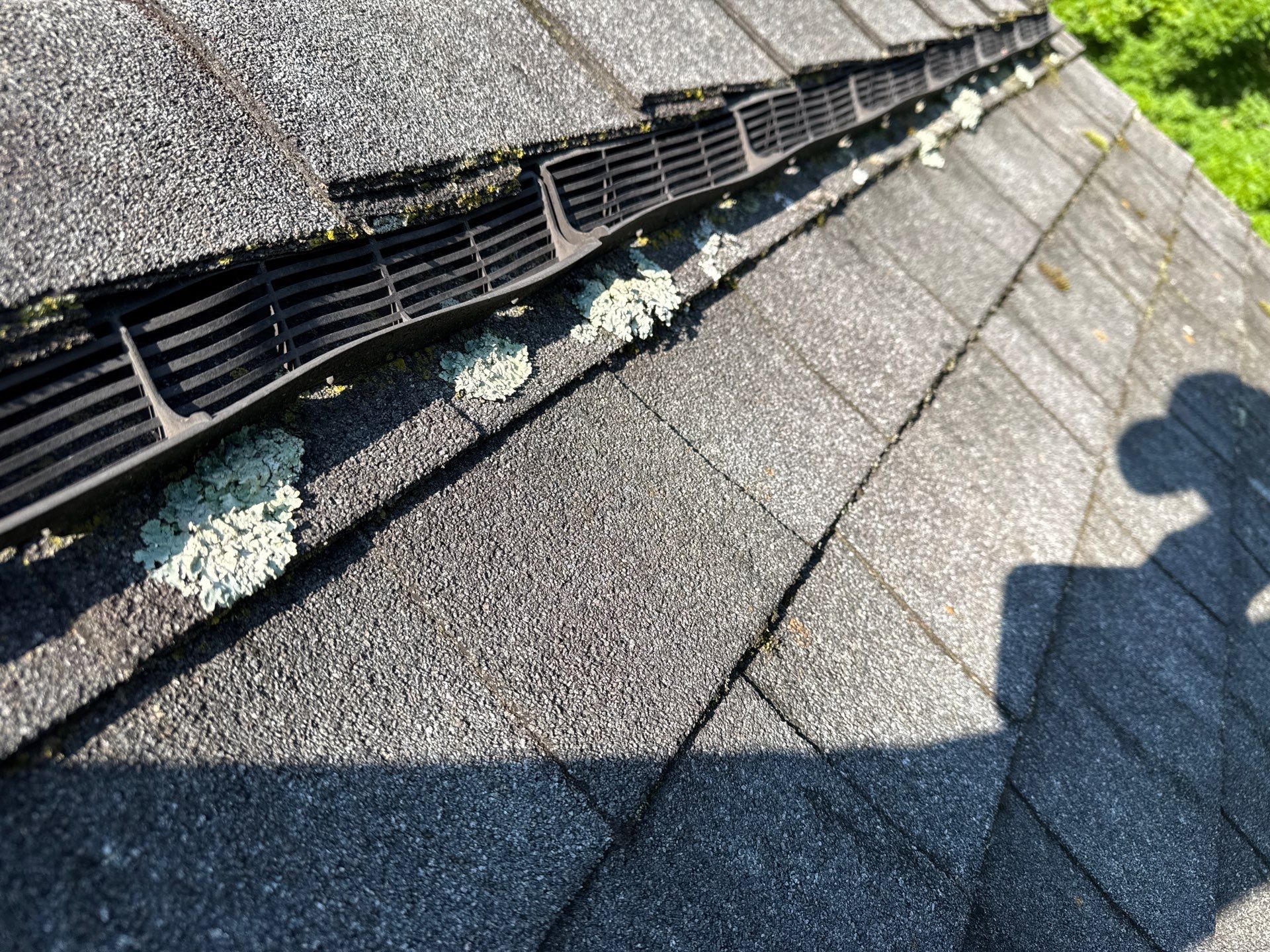 Architectural Shingle Roof Replacement for Multi-Gabled Home in Mathews by Cade Construction