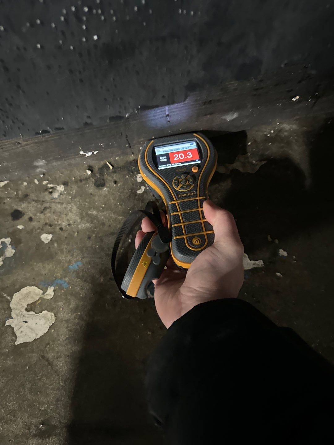 Project in Royal Oak by EzDry Water Mitigation & Property Restoration