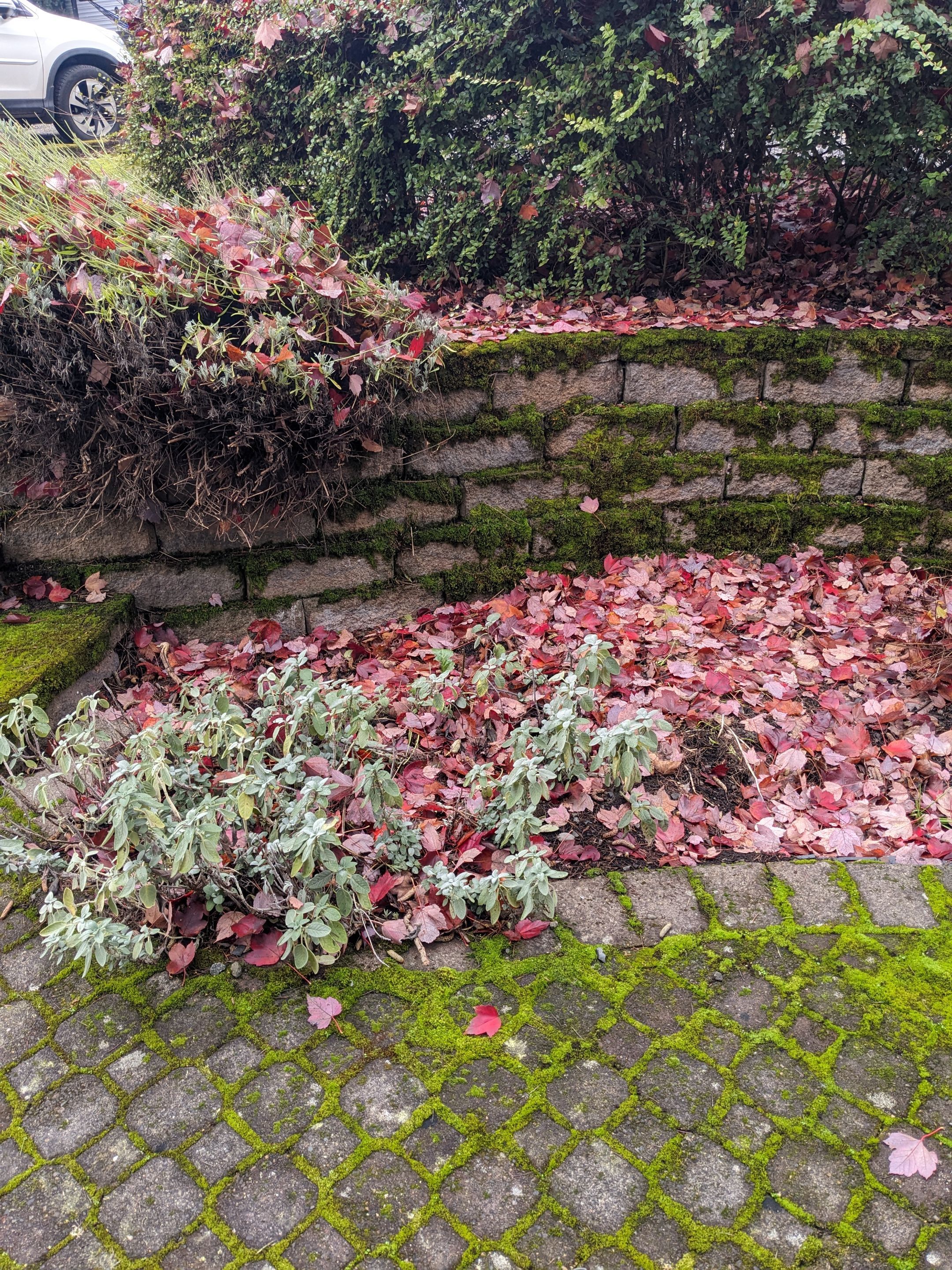 Landscape Design by CompanyCam Help Articles Test