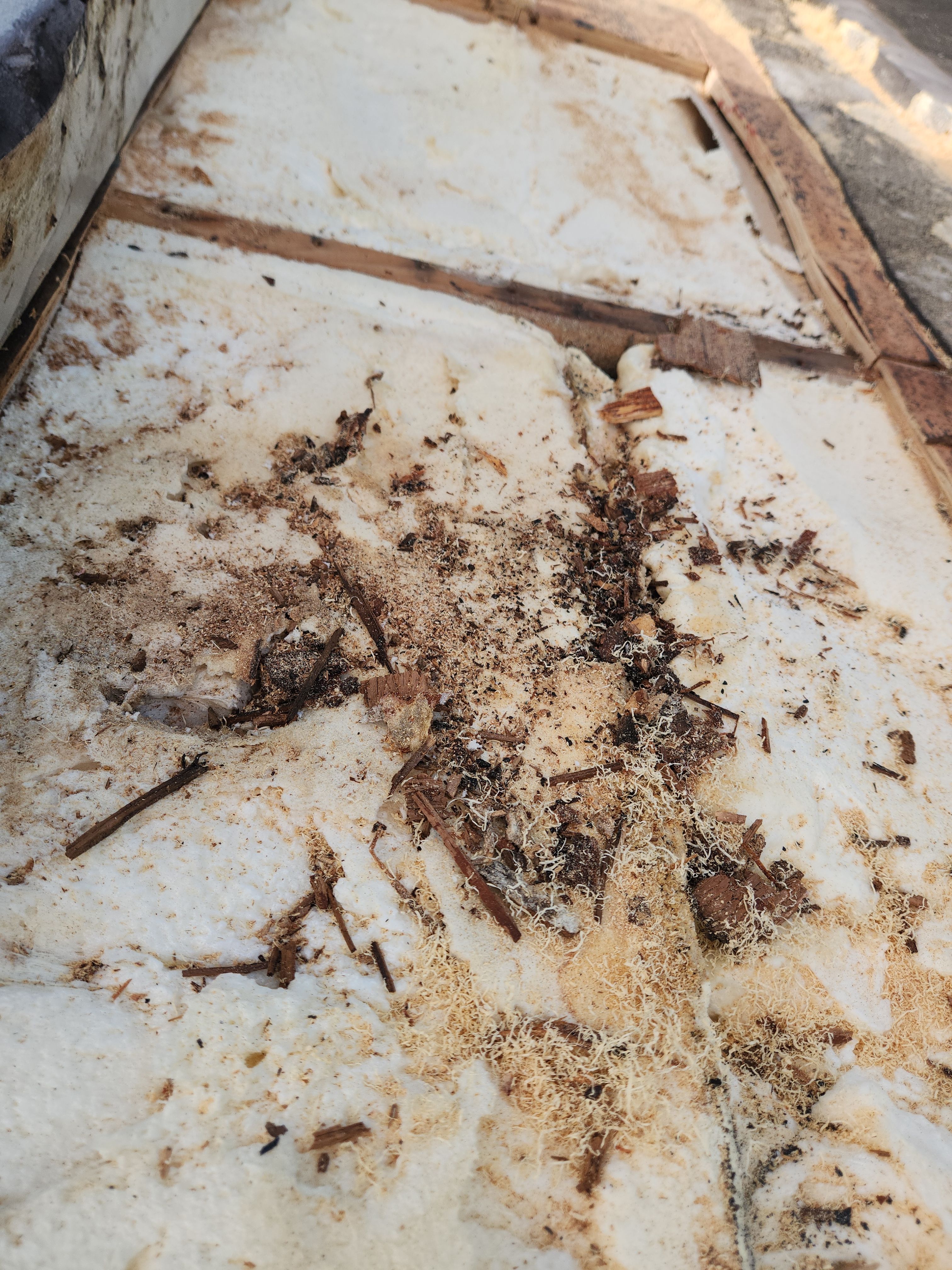 Silicone roof coating and tile tune up in Boca Raton by Aastro Roofing