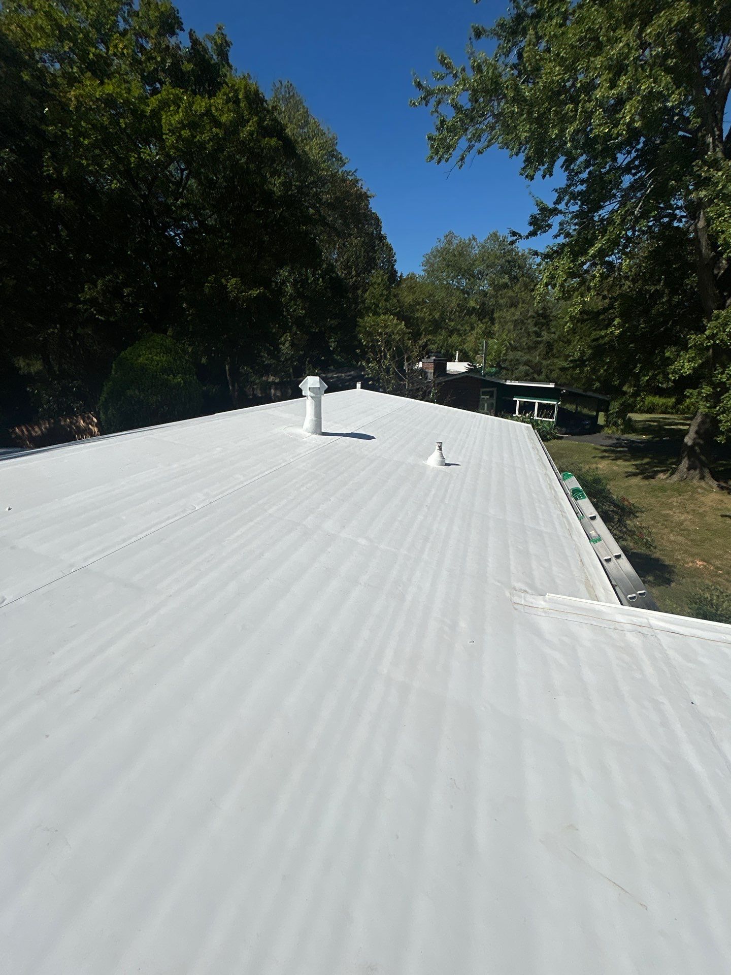 Falls Church :  TPO by RM Banning, Inc.