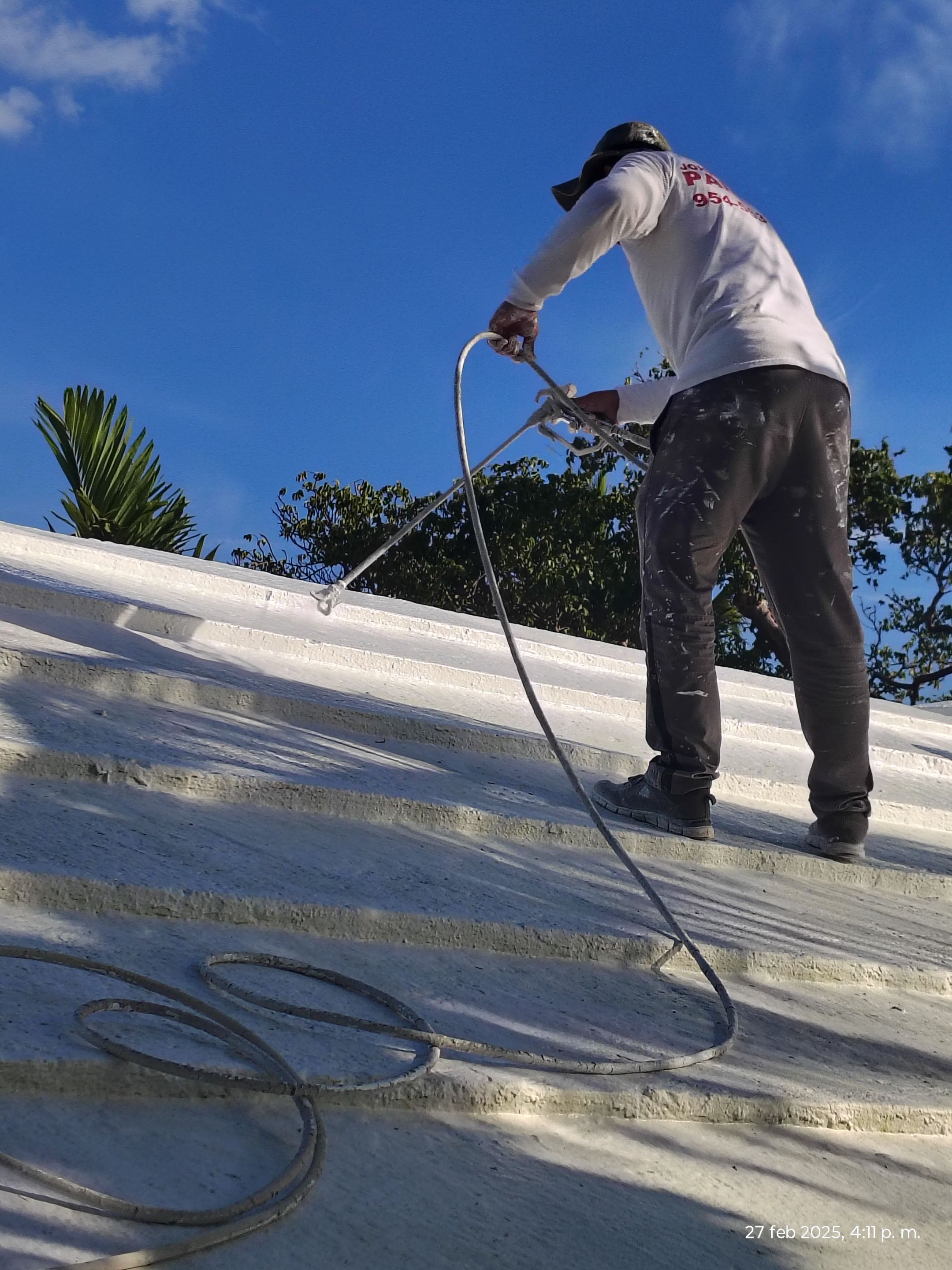 Residential Full Exterior  by John “The Greek” Painting