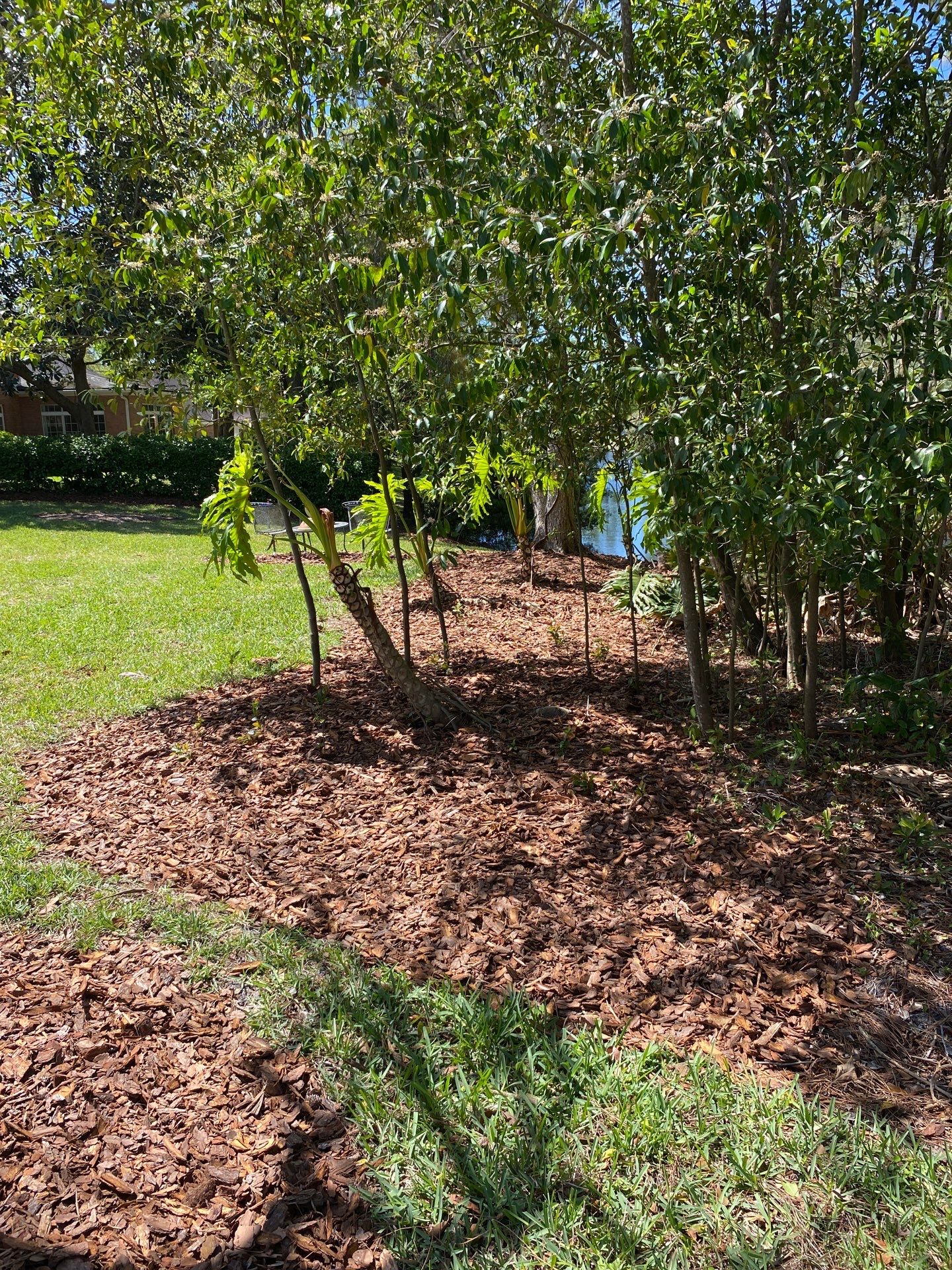 Deerwood Resident | Pine Bark Install by ProGreen Services