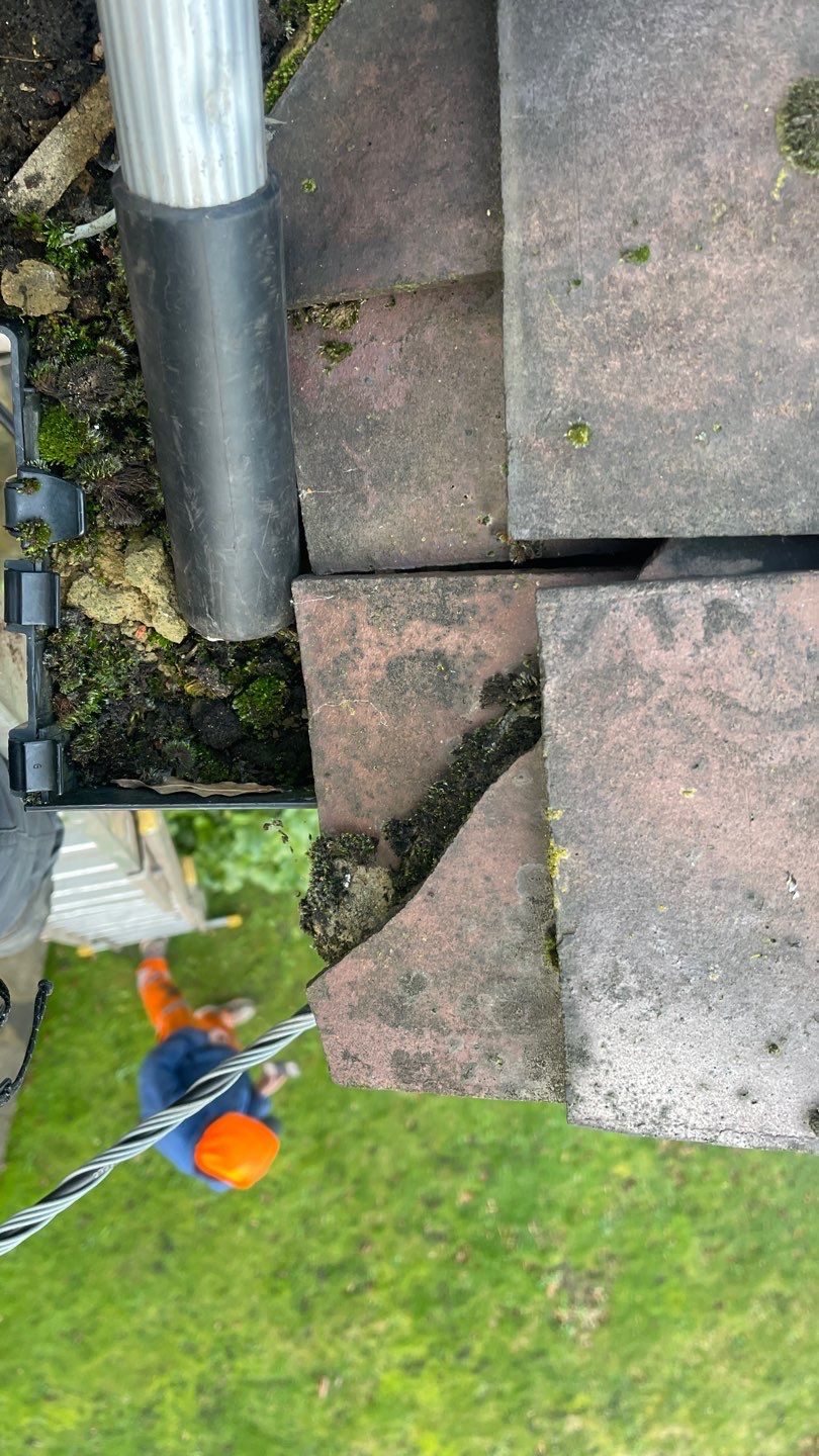 Roof Scraping- Moss Remaval - Biocide using Moss Scraper Blades by Ges Exterior Cleaning ltd