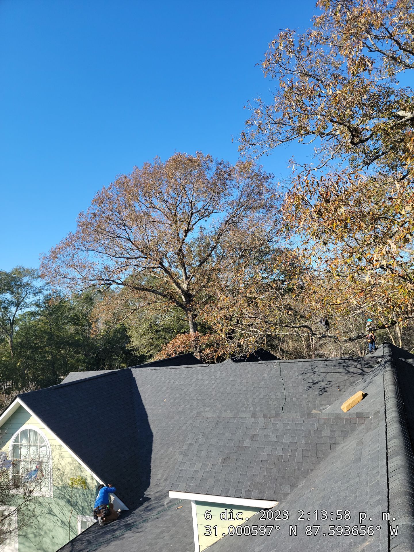Jaye by IAM Roofing LLC