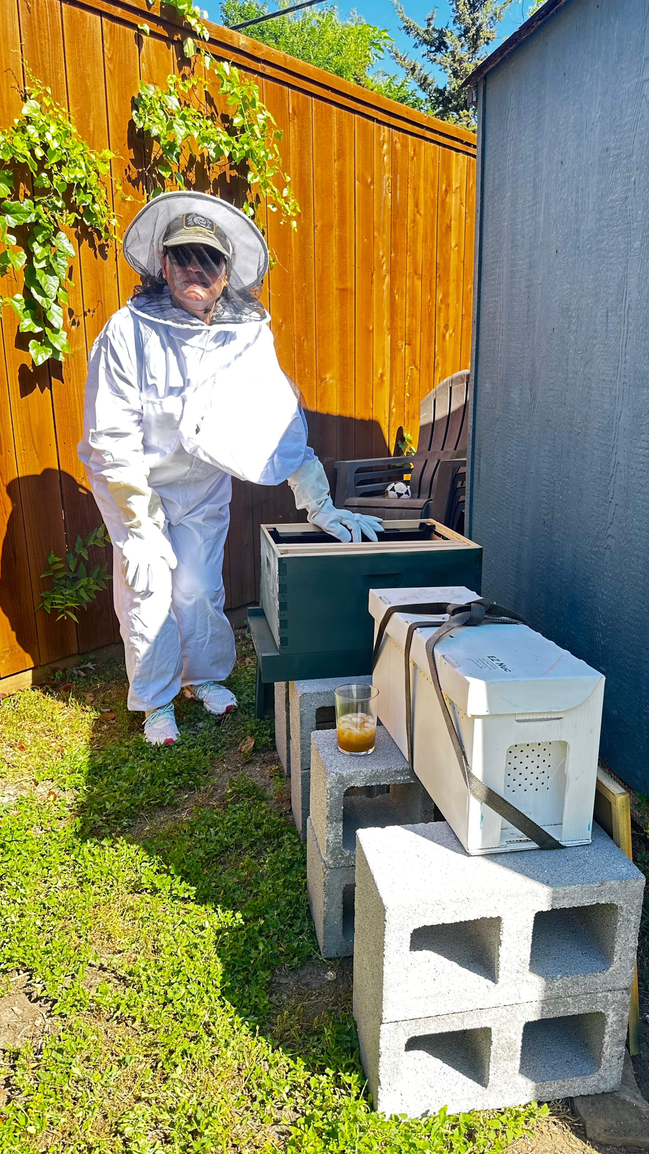 Project in Dallas by Rockwall Honey Bee Company