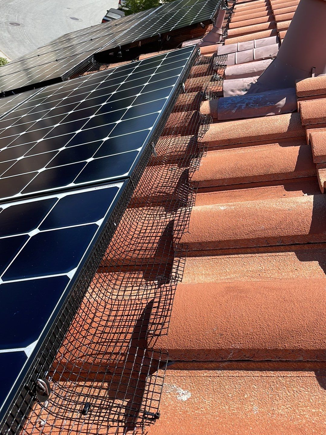 Solar Panel Bird Proofing using Critter Guard Mesh by All One Solar Shine