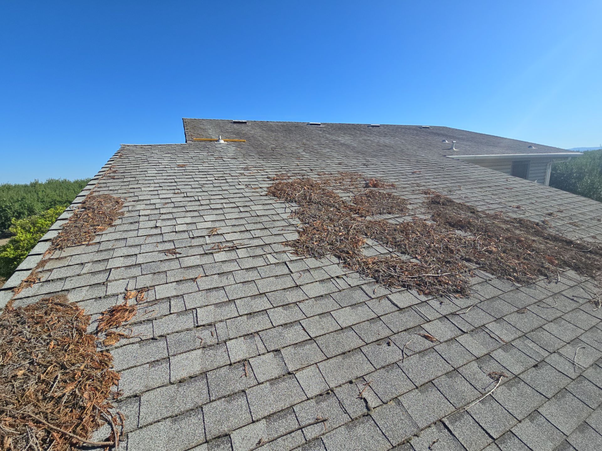 Roof Rejuvenation using Roof Maxx Treatment by Roof Maxx of Folsom