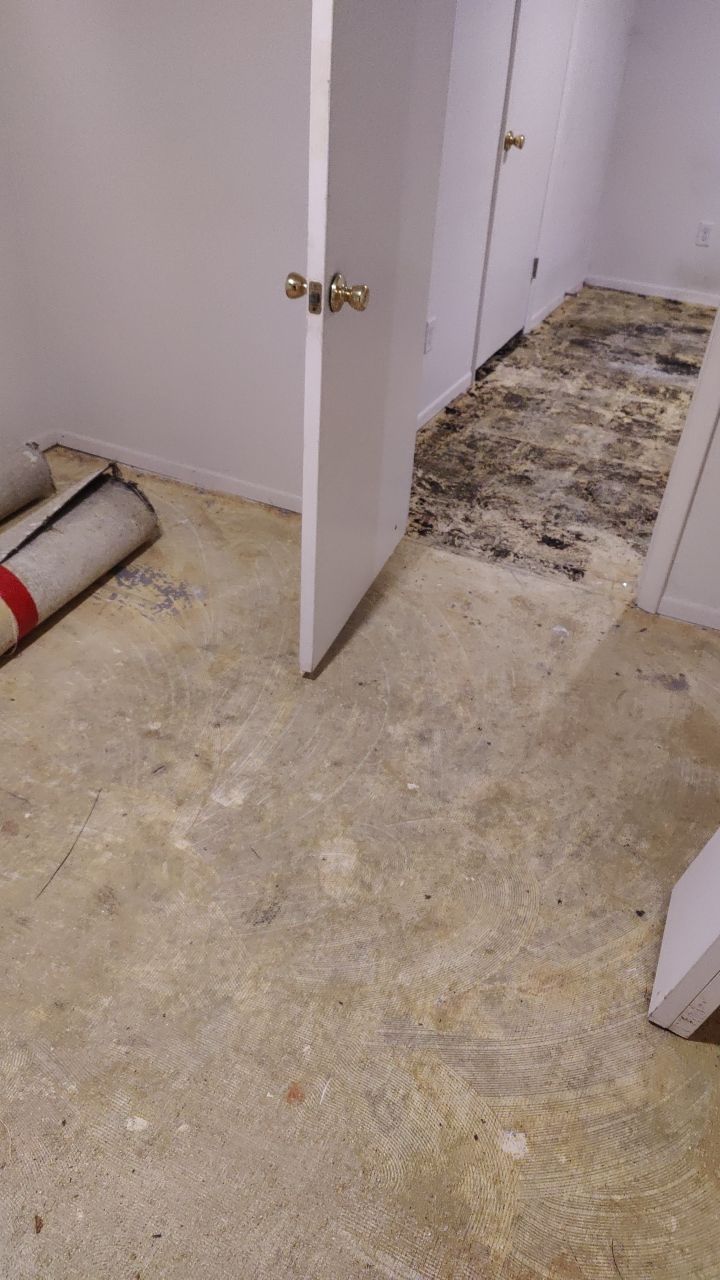 Water Damage by Accountable Home Services
