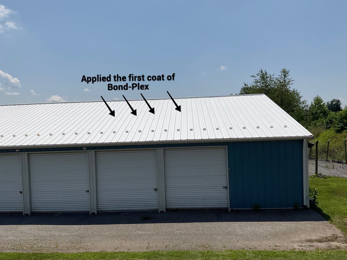 Exterior Painting by Alpha Design Services