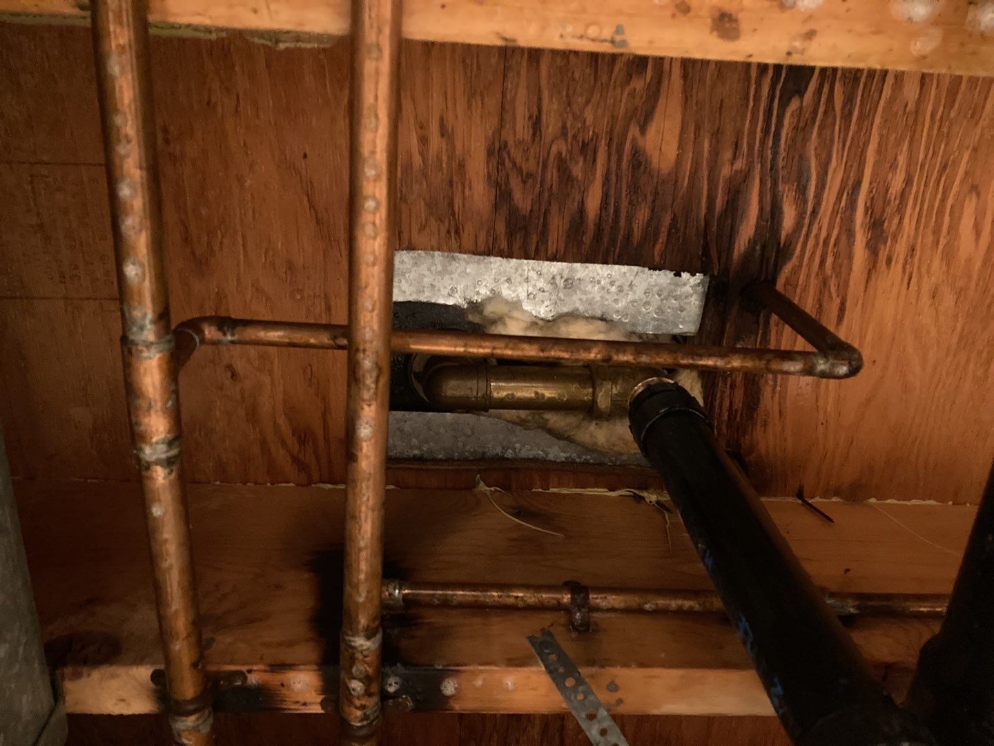 Mold Remediation using Containment by Accountable Home Services