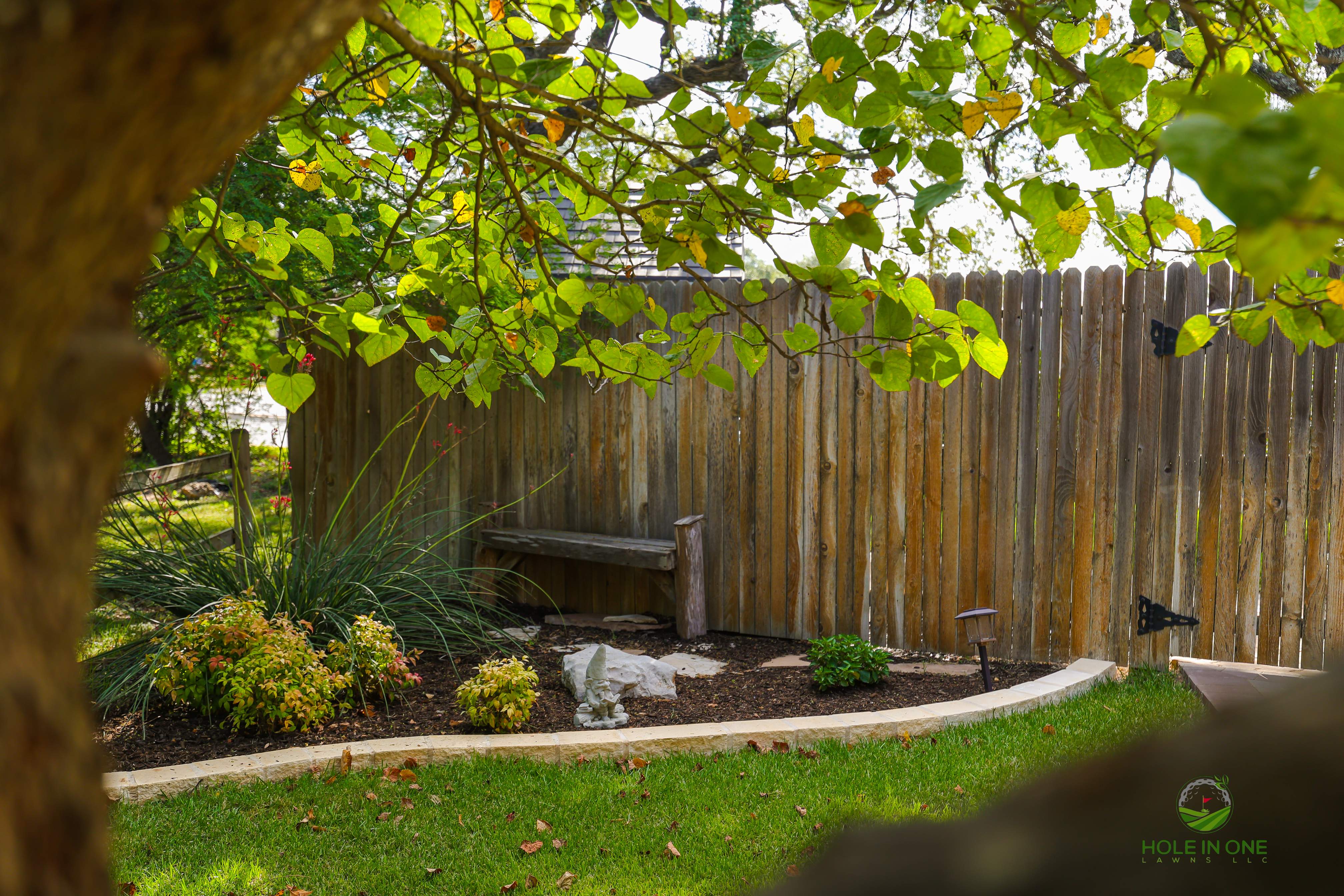 Wortham Oak, San Antonio TX by Hole In One Lawns, LLC