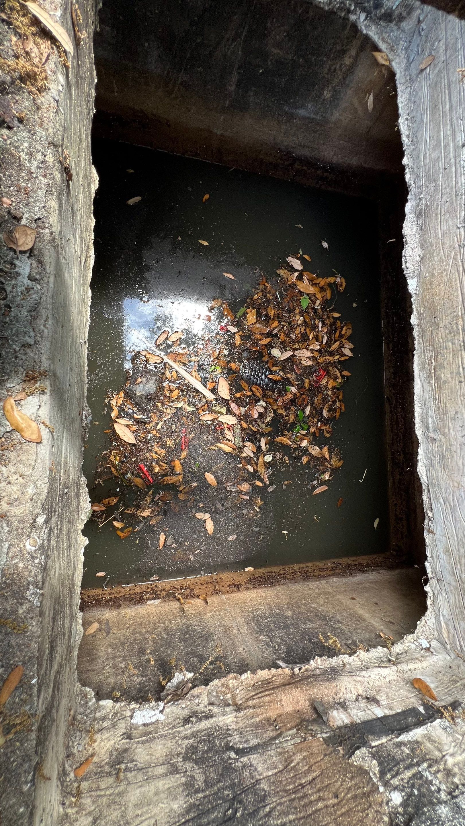 Estero Community Stormwater System Maintenance by APS Power & Water