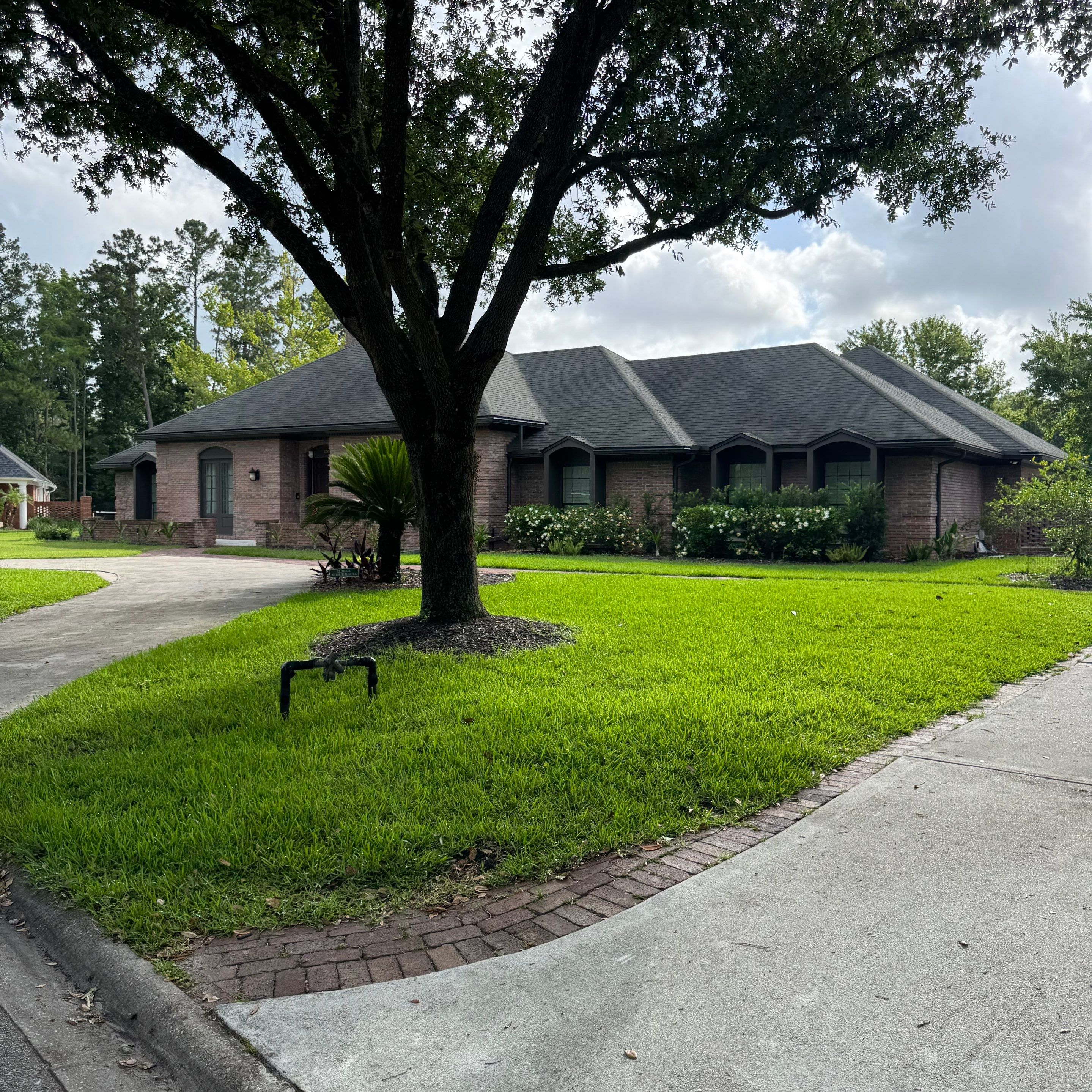 Deerwood Resident | Sod & Plant Install by ProGreen Services