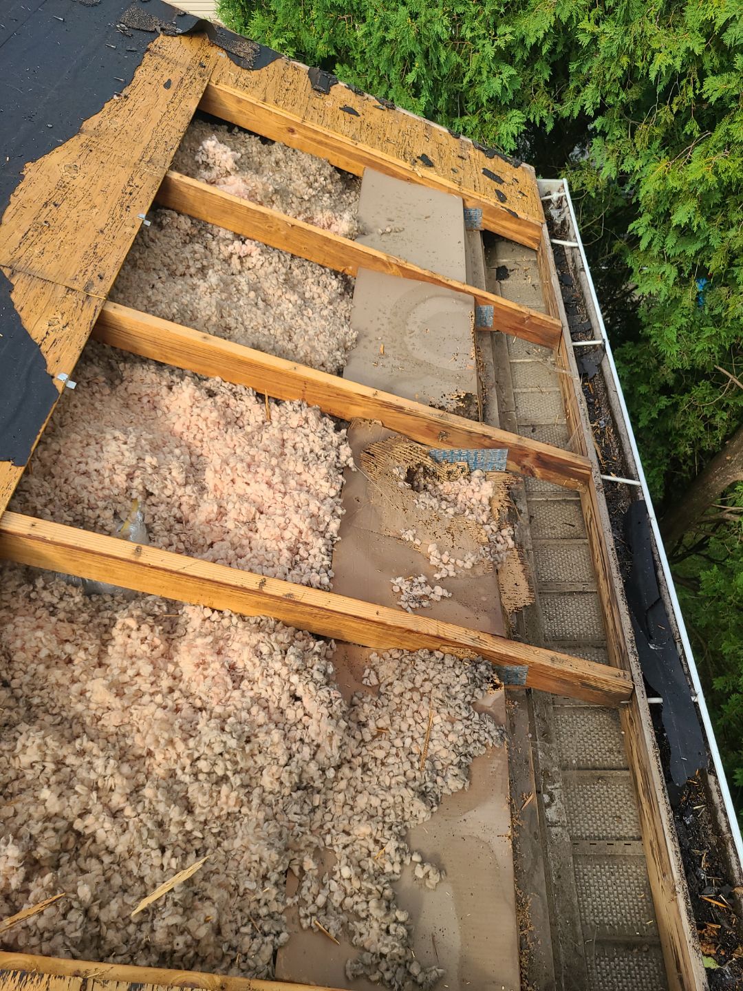 Falls Church: CertainTeed Landmark Pro Designer Shingles in Max Def Pewterwood by RM Banning, Inc.