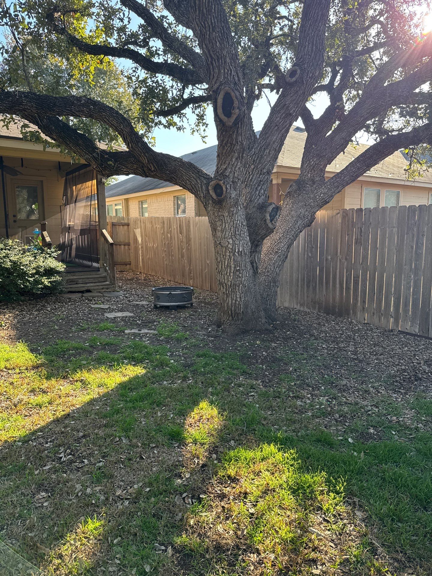 Wortham Oaks, San Antonio by Hole In One Lawns, LLC