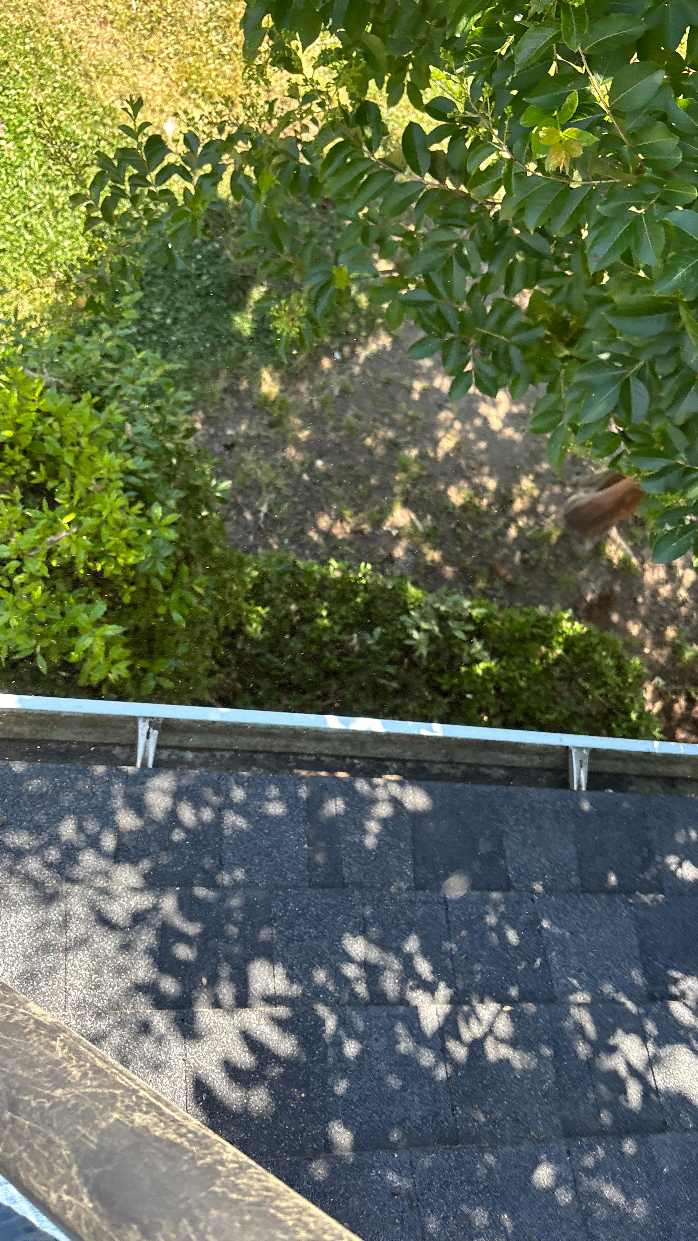 HOA gutter cleaning after photo.