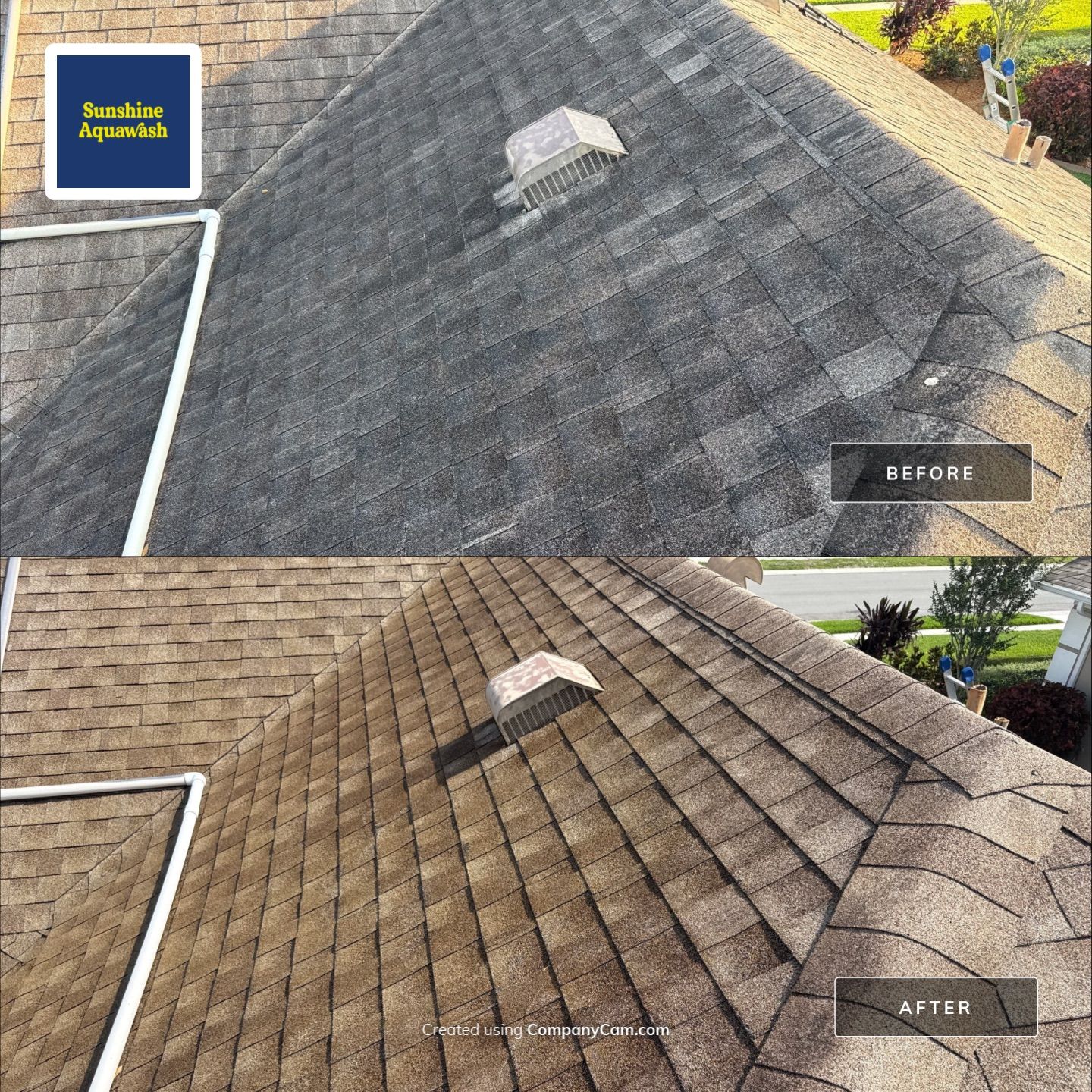 Asphalt Shingle Roof Cleaning in Creekwood Community – Bradenton, FL by Sunshine AquaWash