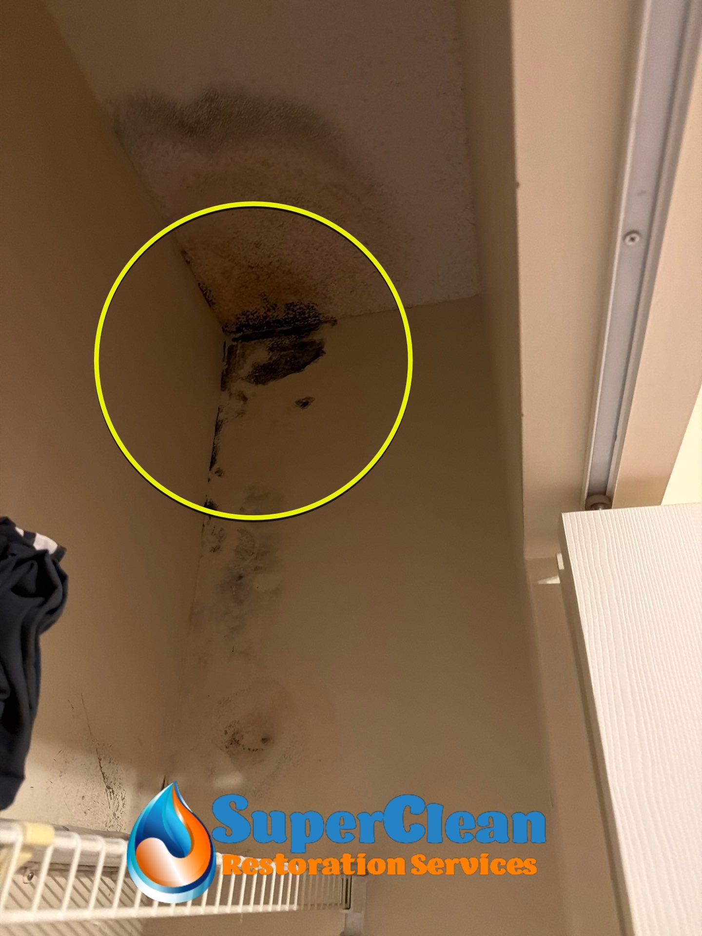 Professional Mold Remediation and Interior Water Damage Restoration in Wellington by SuperClean