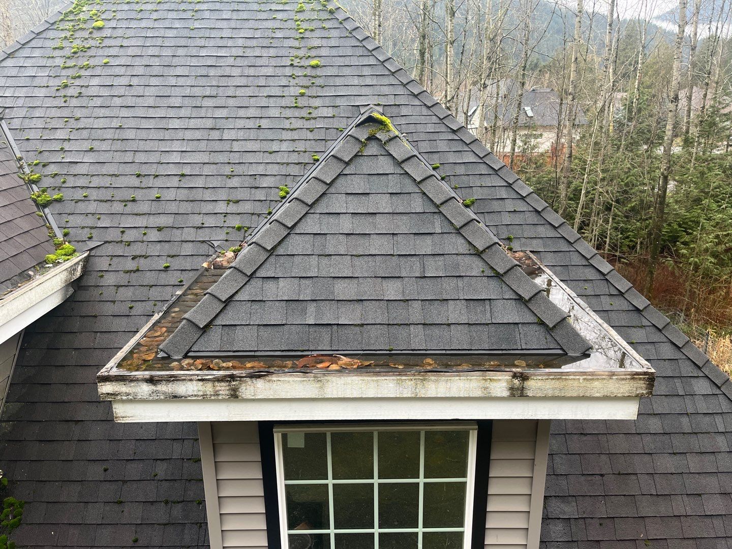 Residential Re-Roof using 26 GA Fascia Color White White by Top Notch Roofing Inc