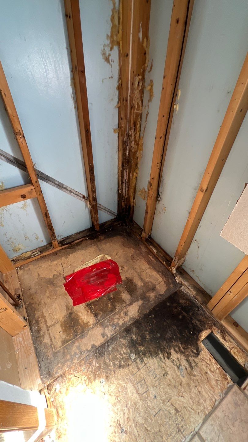 Water Damage and Mold Remediation by Accountable Home Services