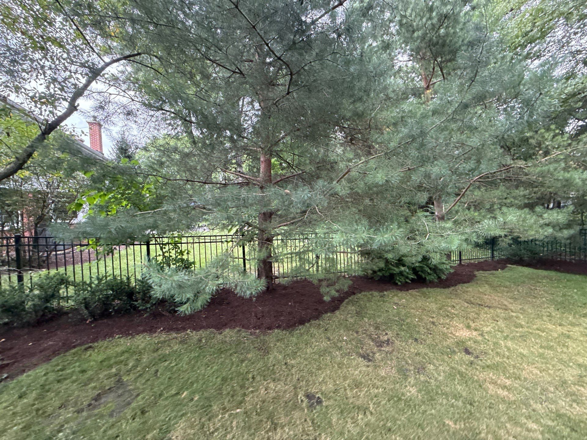 Christopher B. - Glenview, IL by A&N