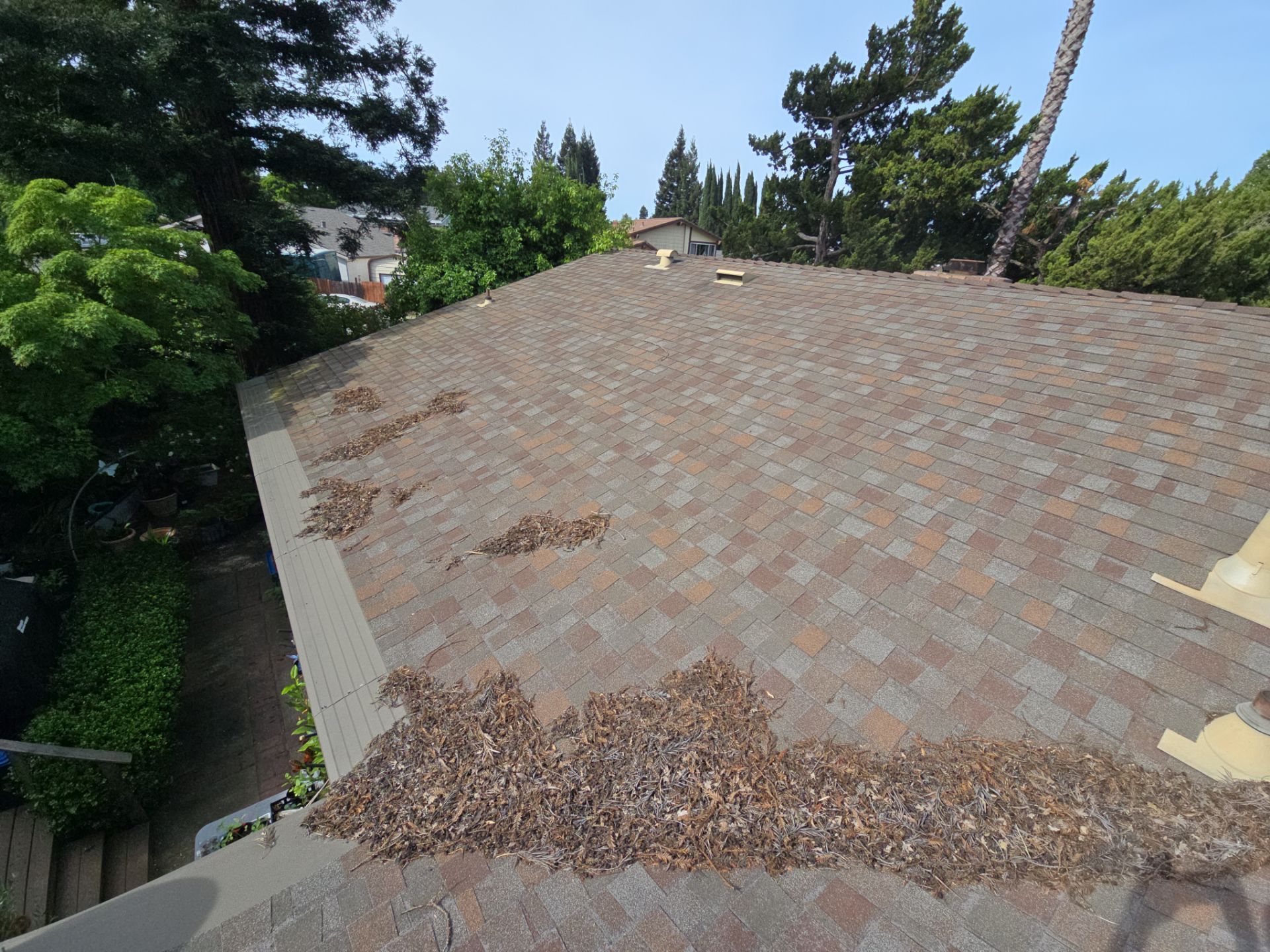 Roof Rejuvenation using Roof Maxx Treatment by Roof Maxx of Folsom