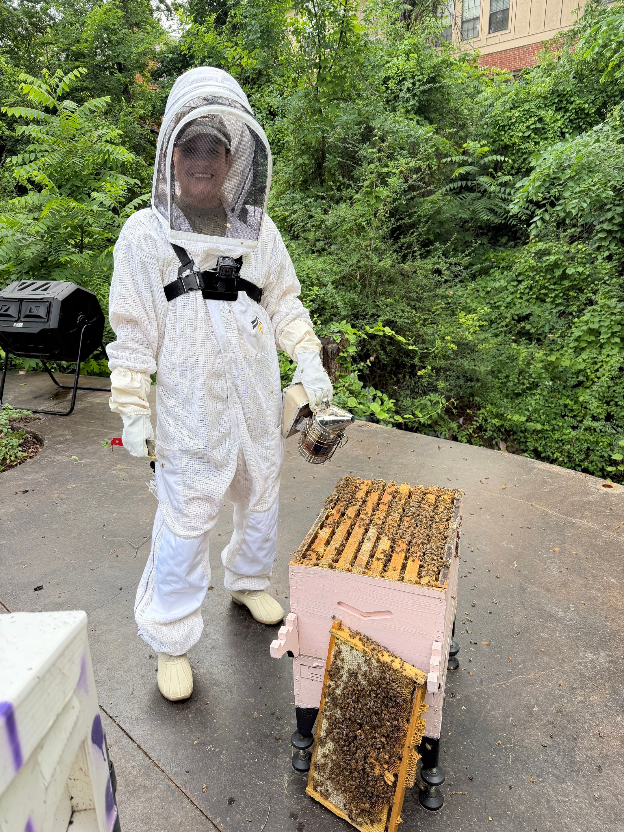 Ravine Terrace, Bees by Rockwall Honey Bee Company