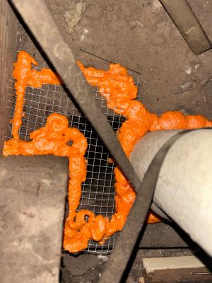 Project in Los Angeles